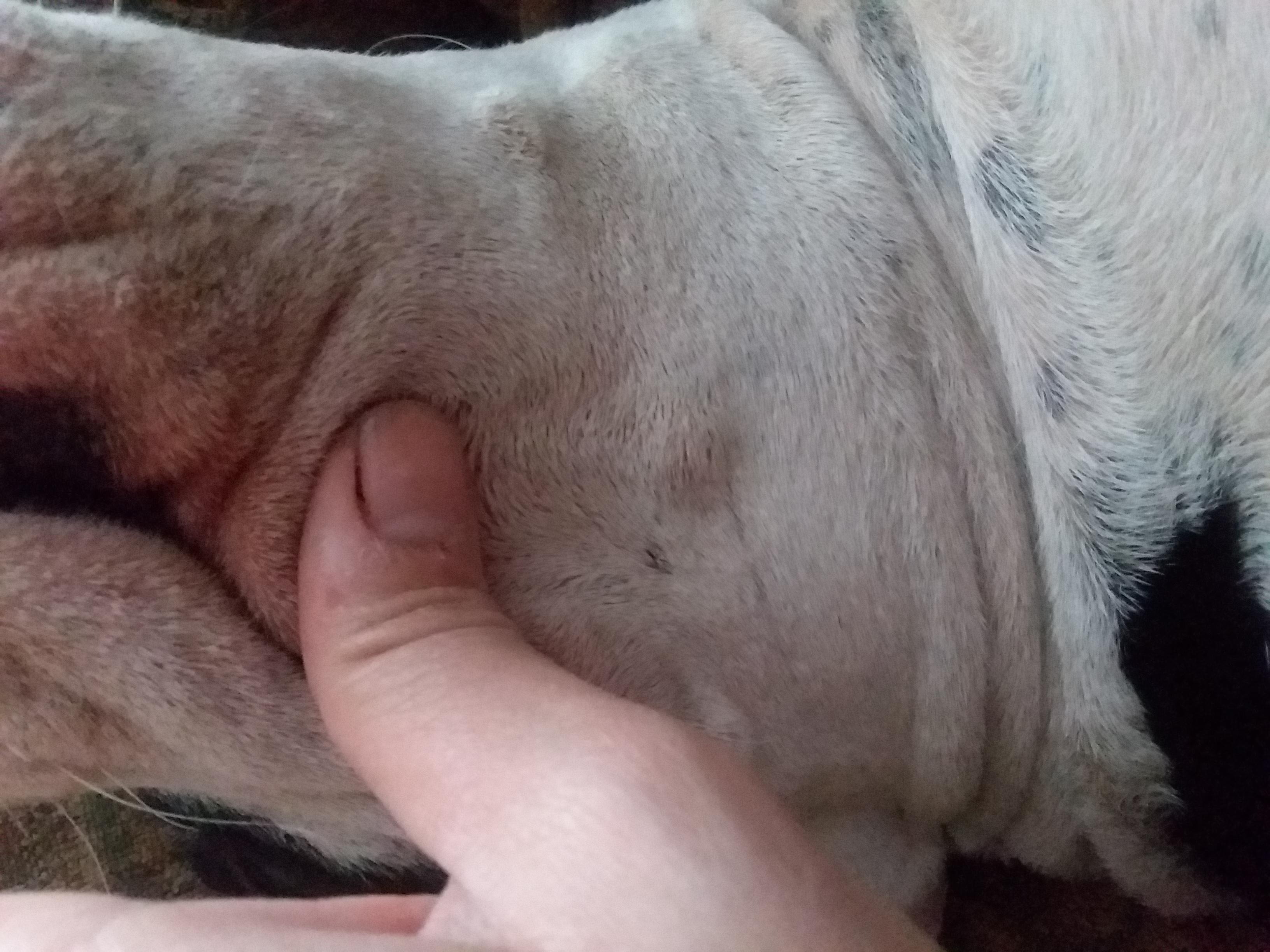 Question details sensitive content