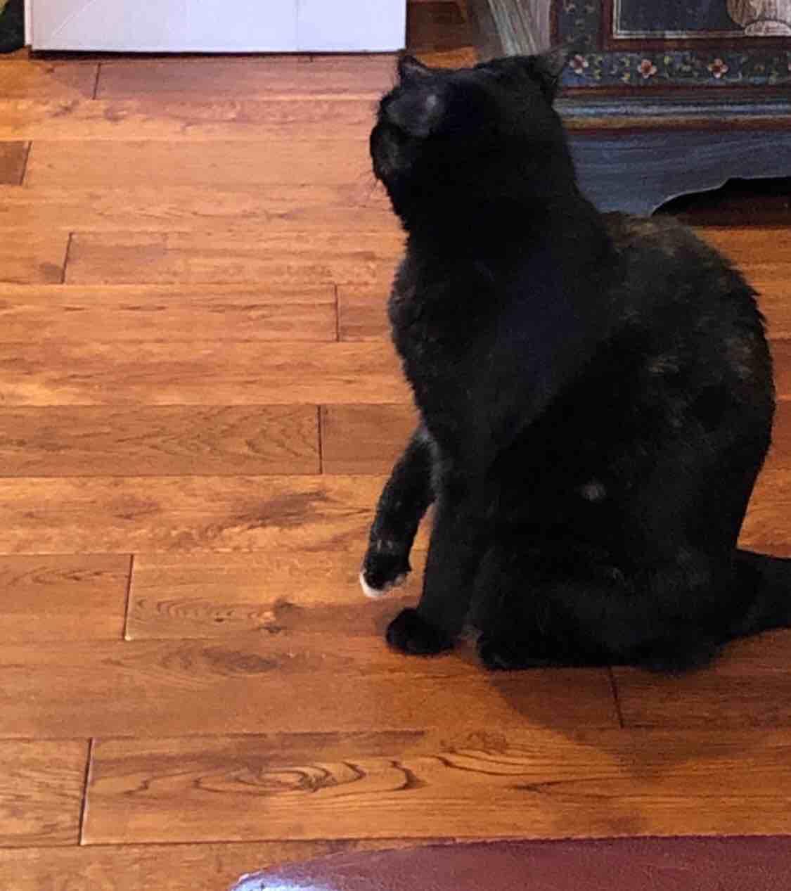 Question details sensitive content