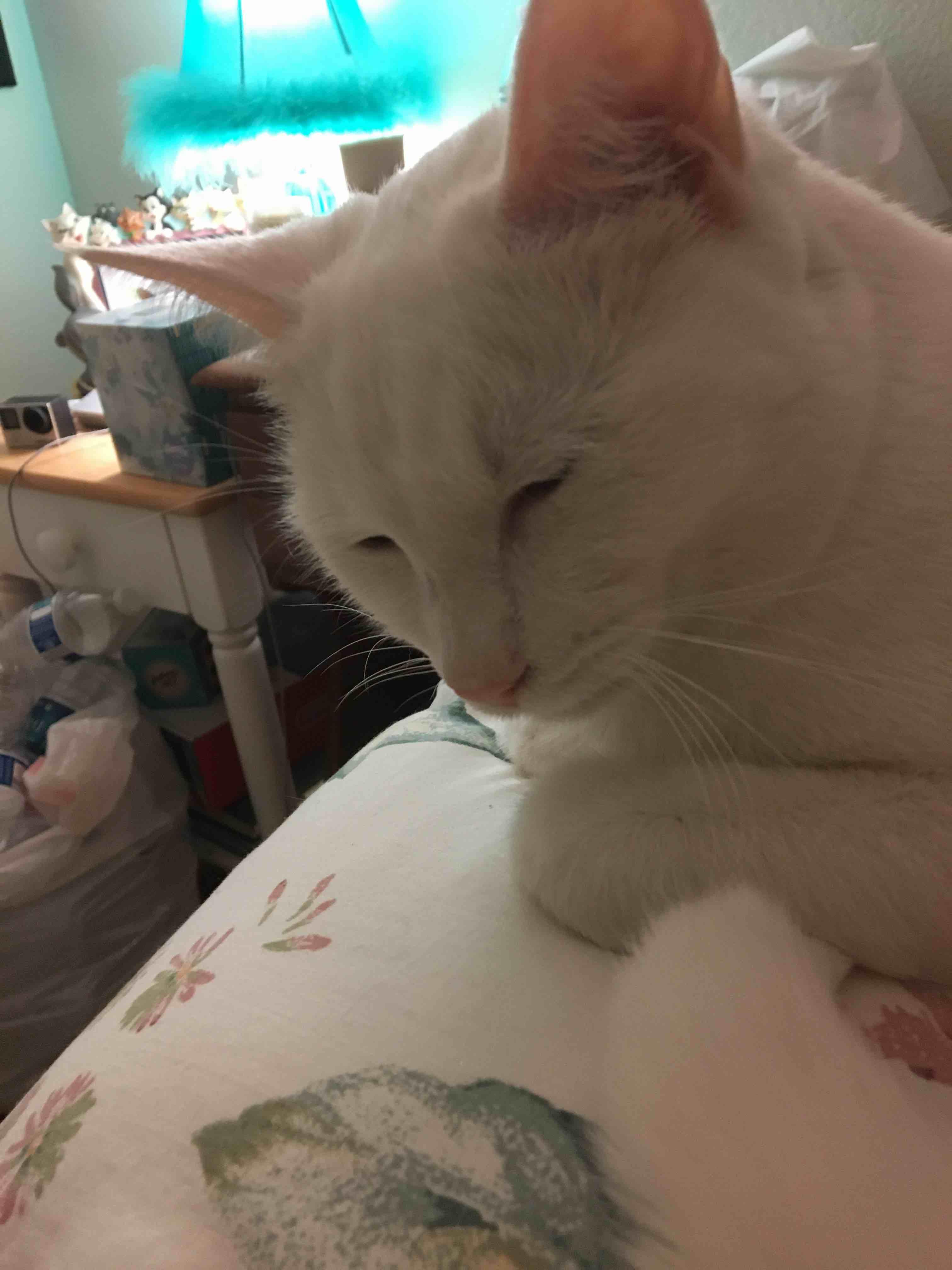 Question details sensitive content