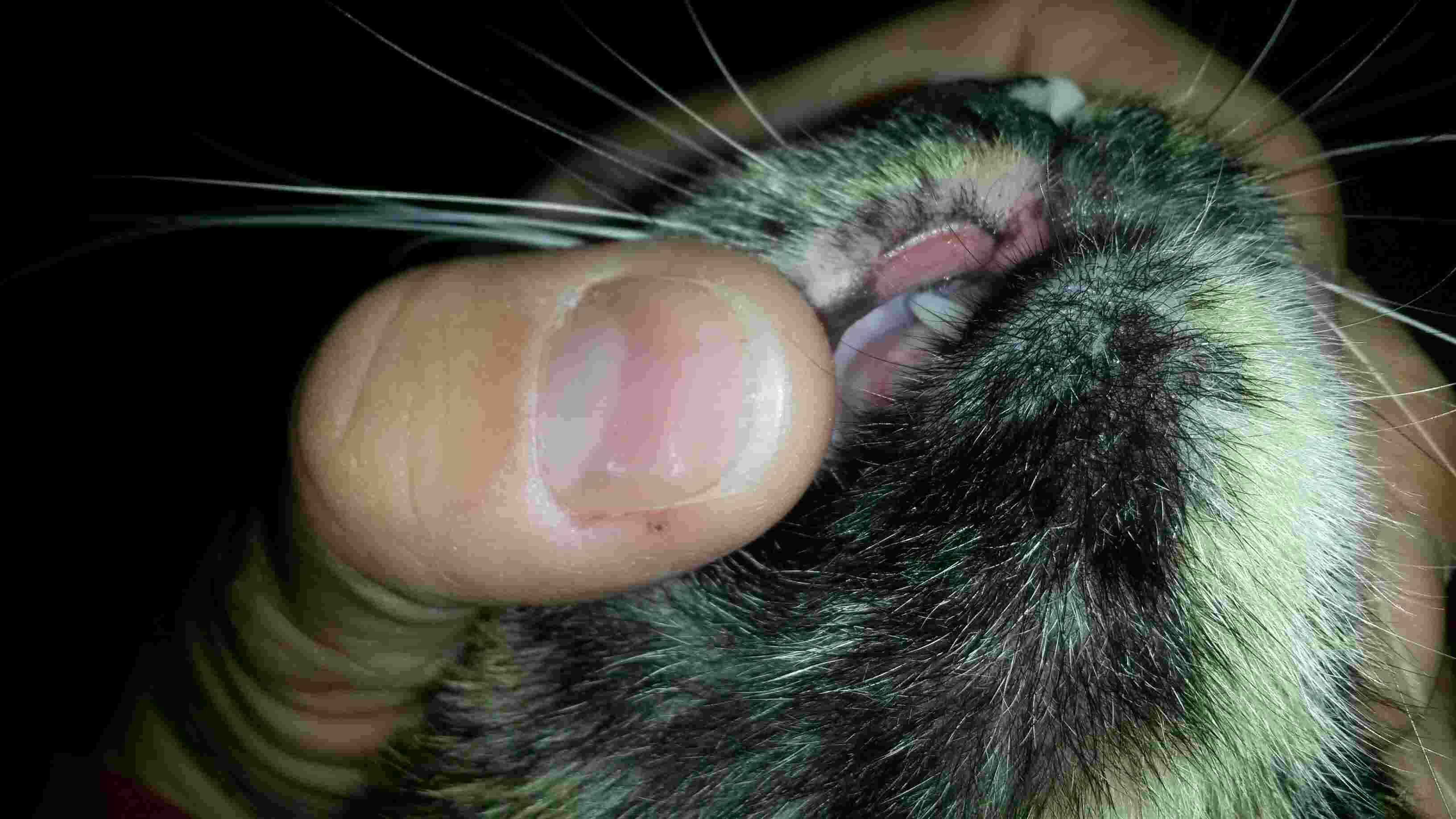 Question details sensitive content