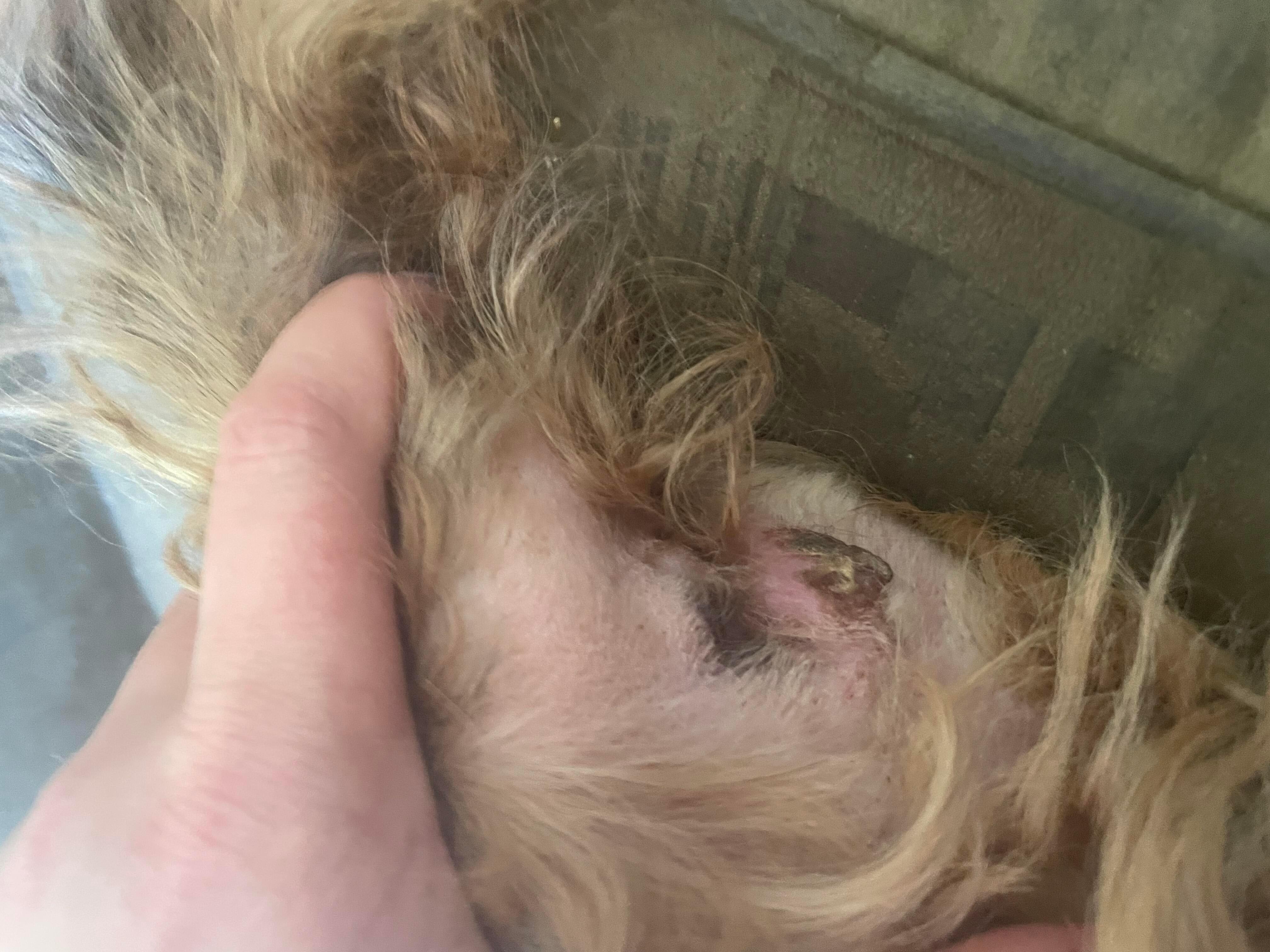 Question details sensitive content