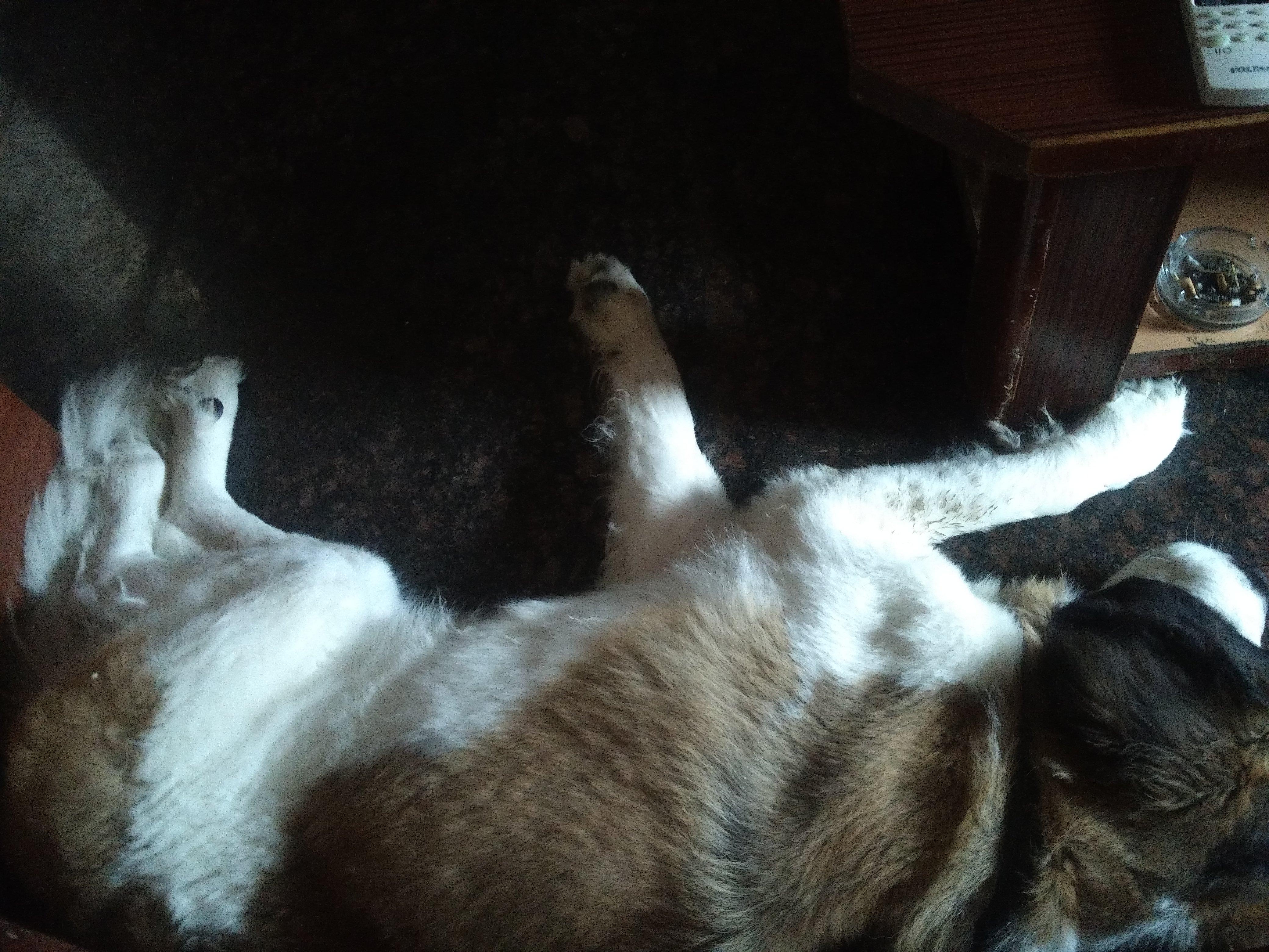 Question details sensitive content