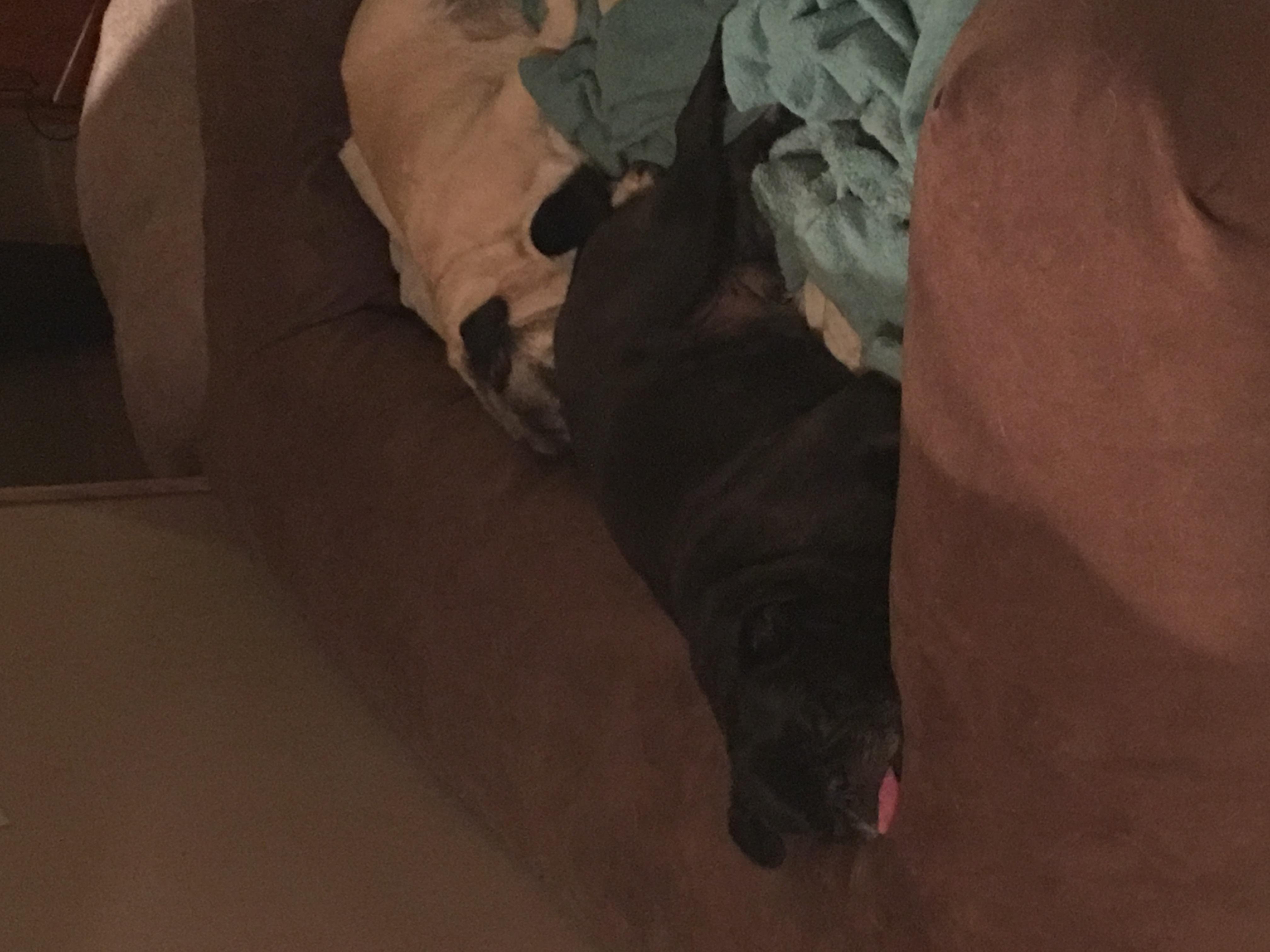 Question details sensitive content