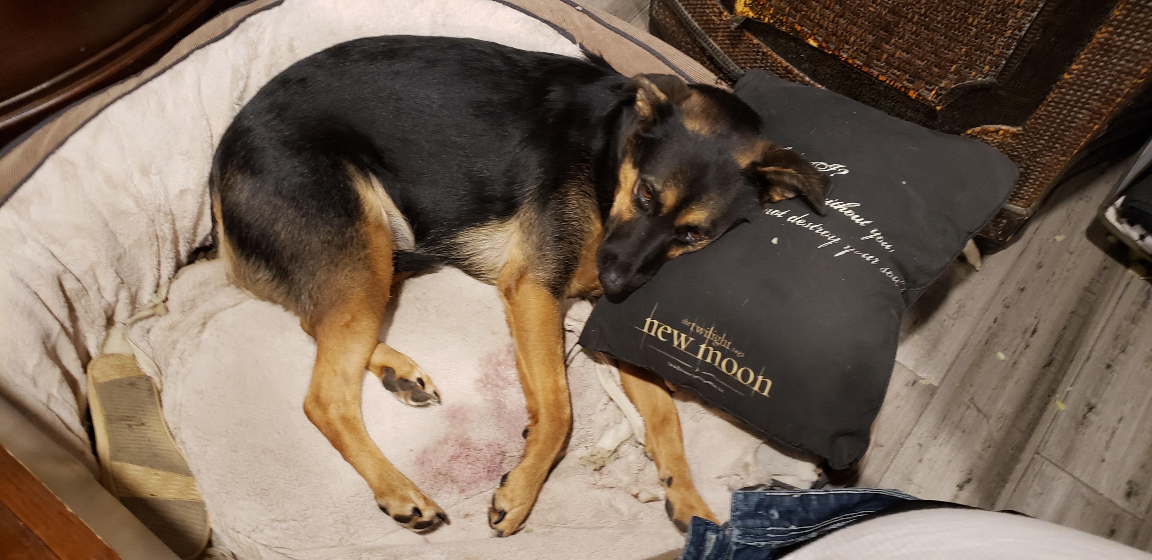 Question details sensitive content