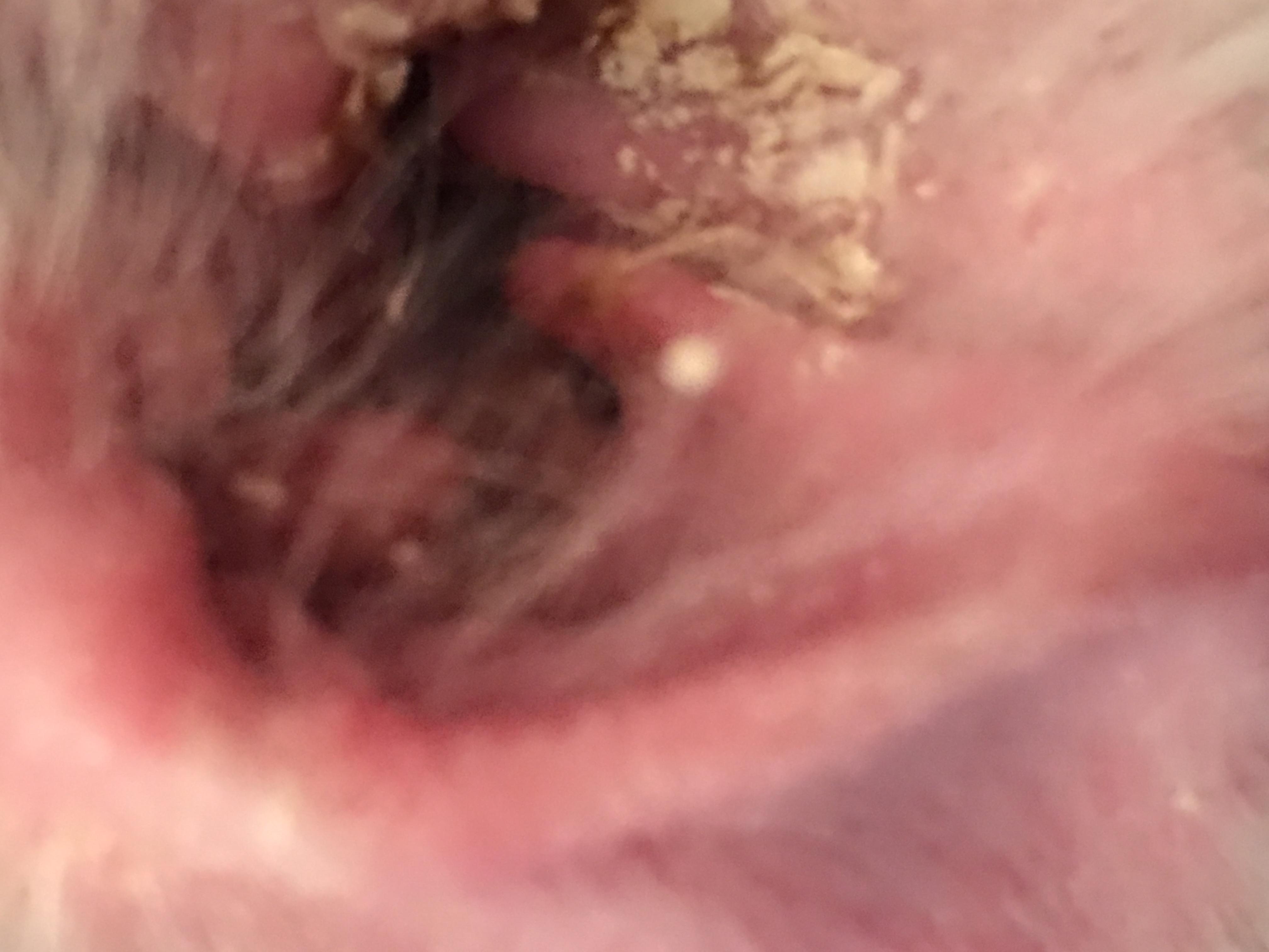 Question details sensitive content