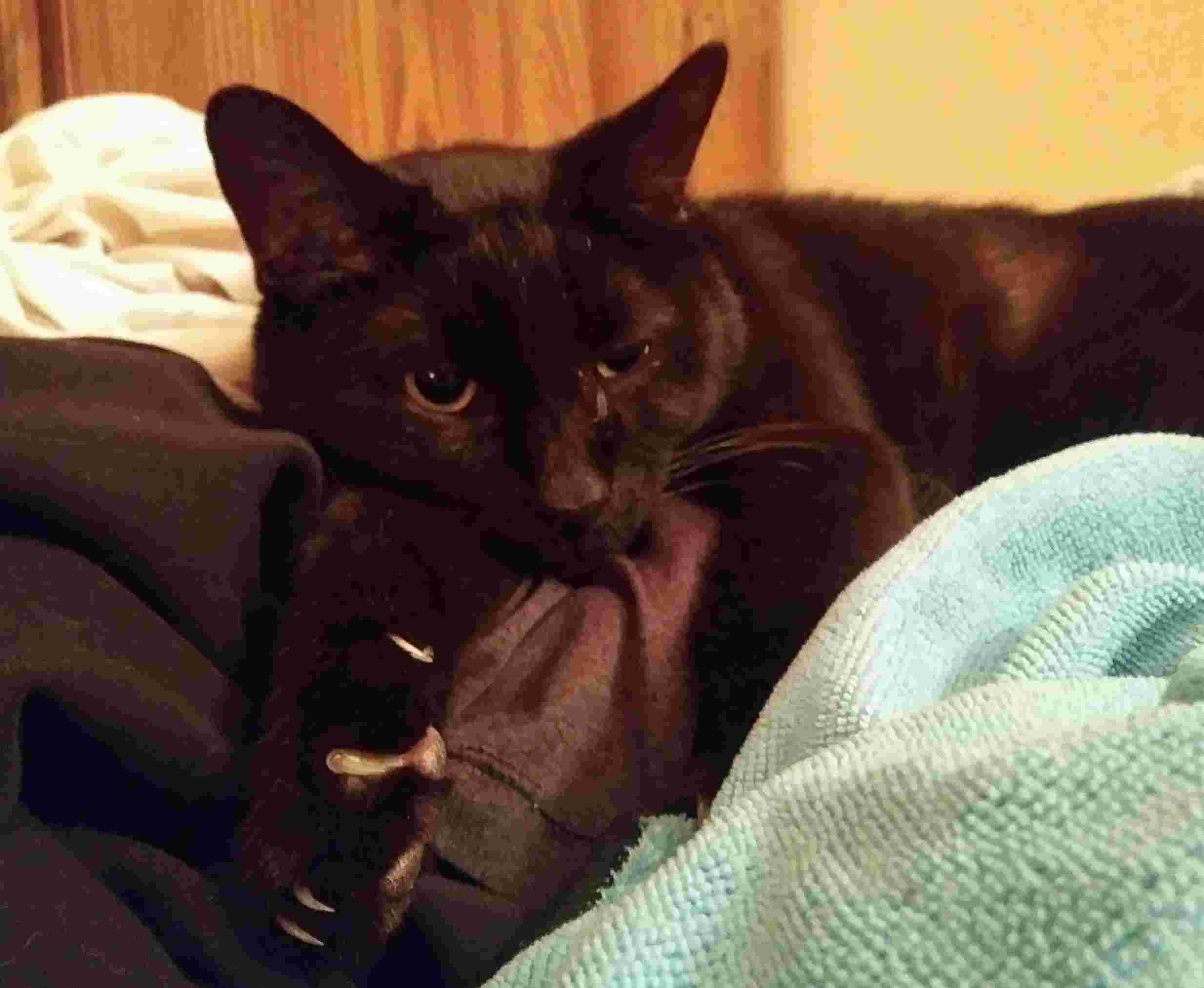 Question details sensitive content