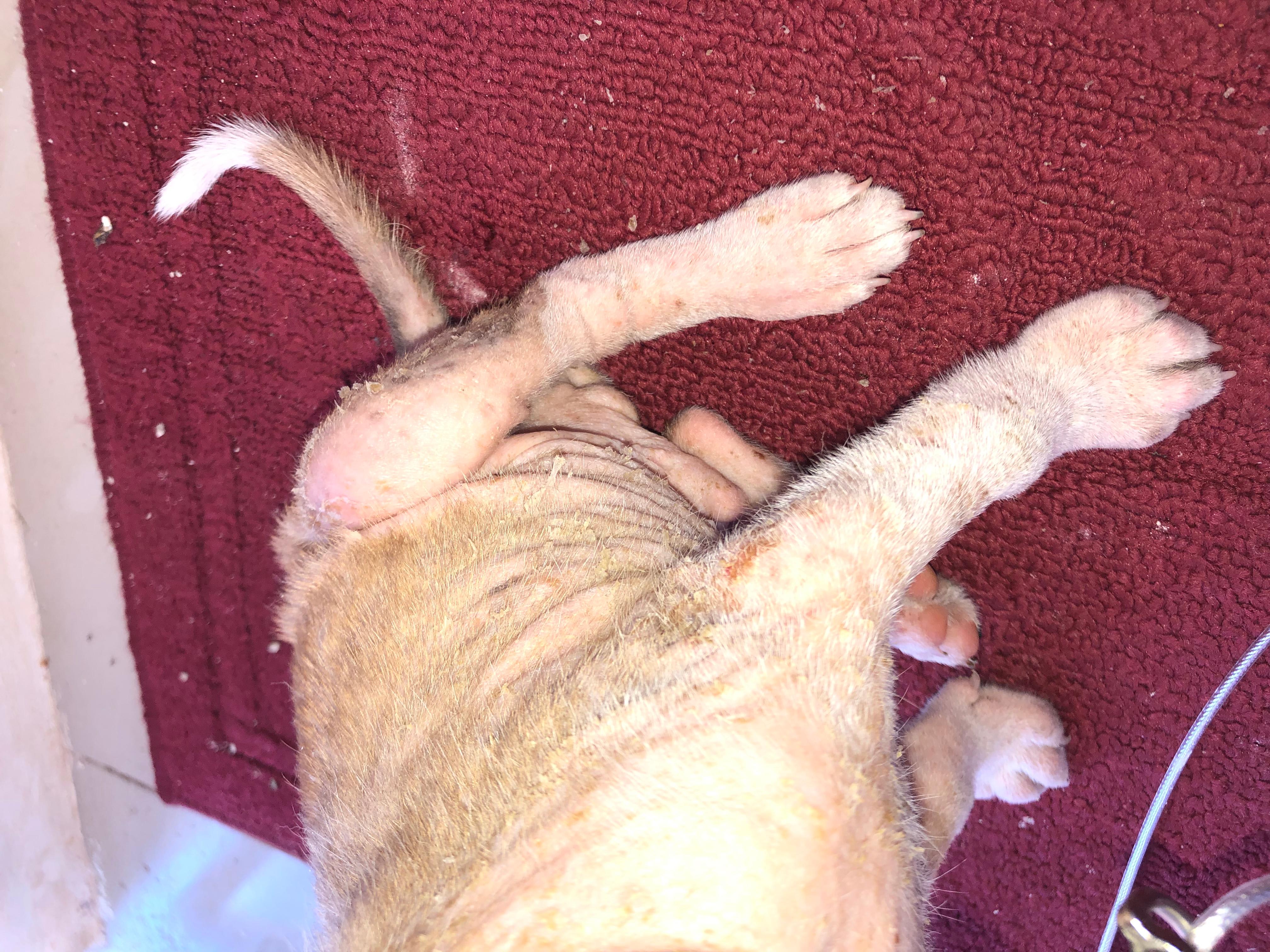 Question details sensitive content