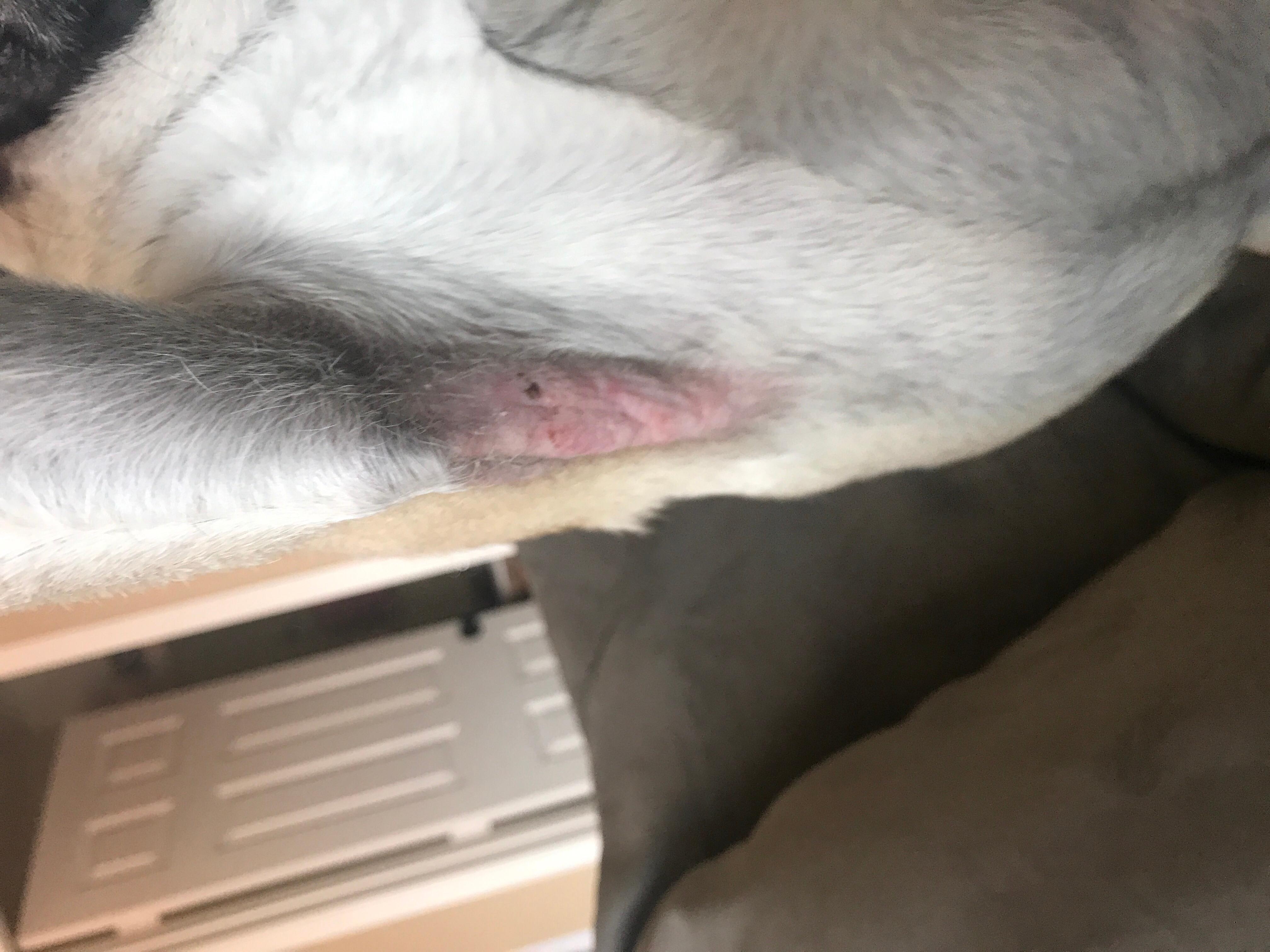 Question details sensitive content