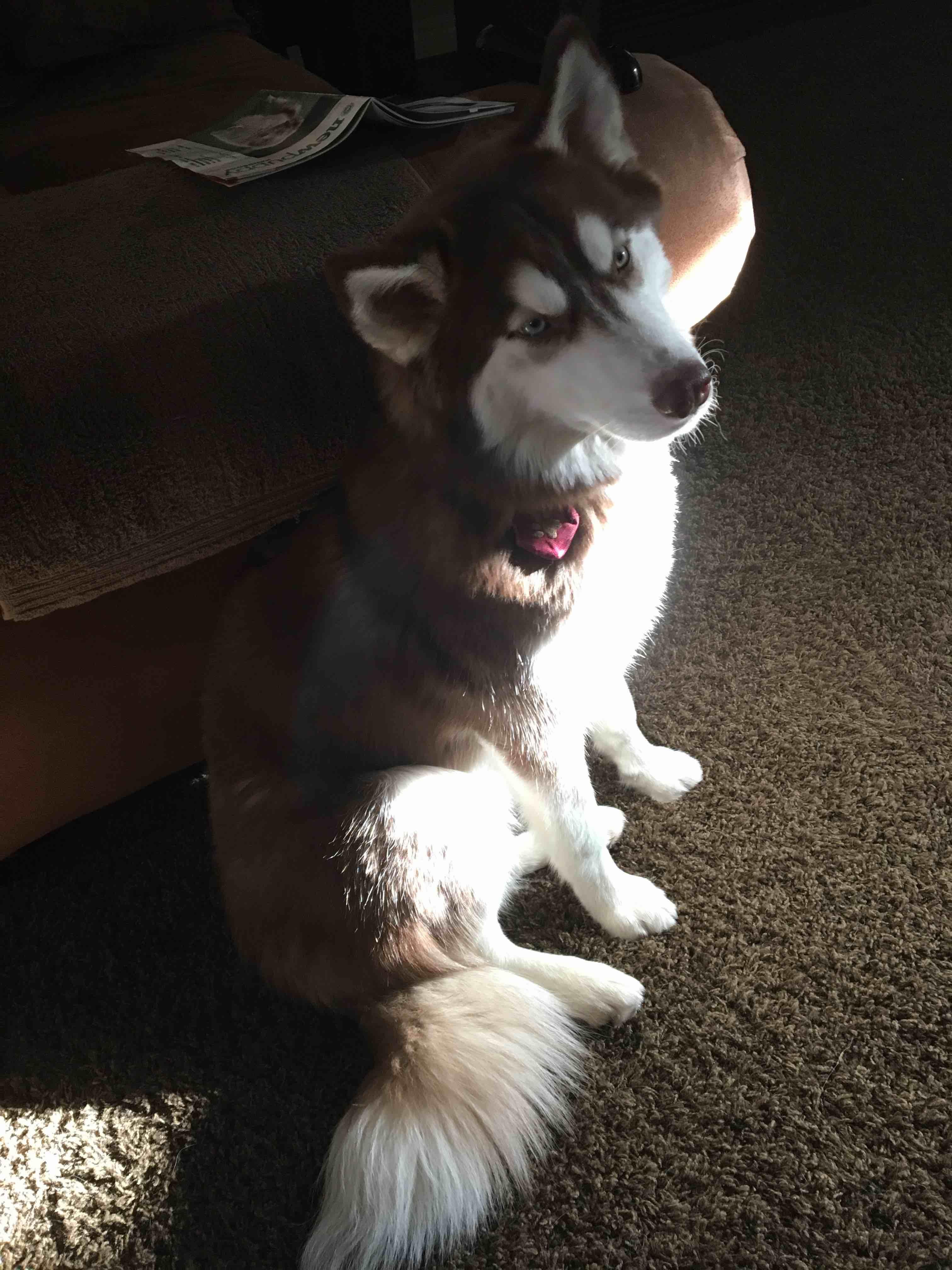 Question details sensitive content