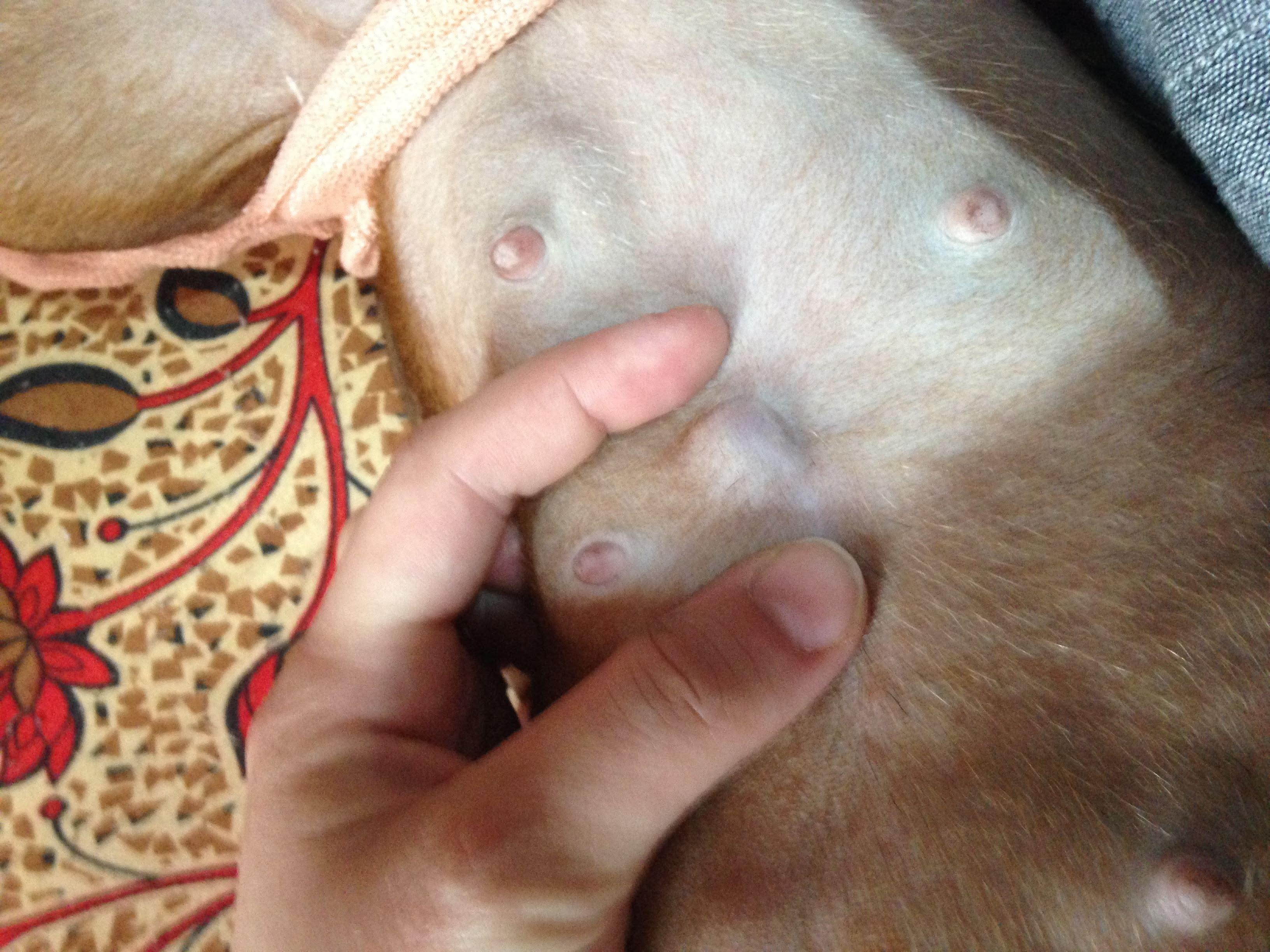 Question details sensitive content