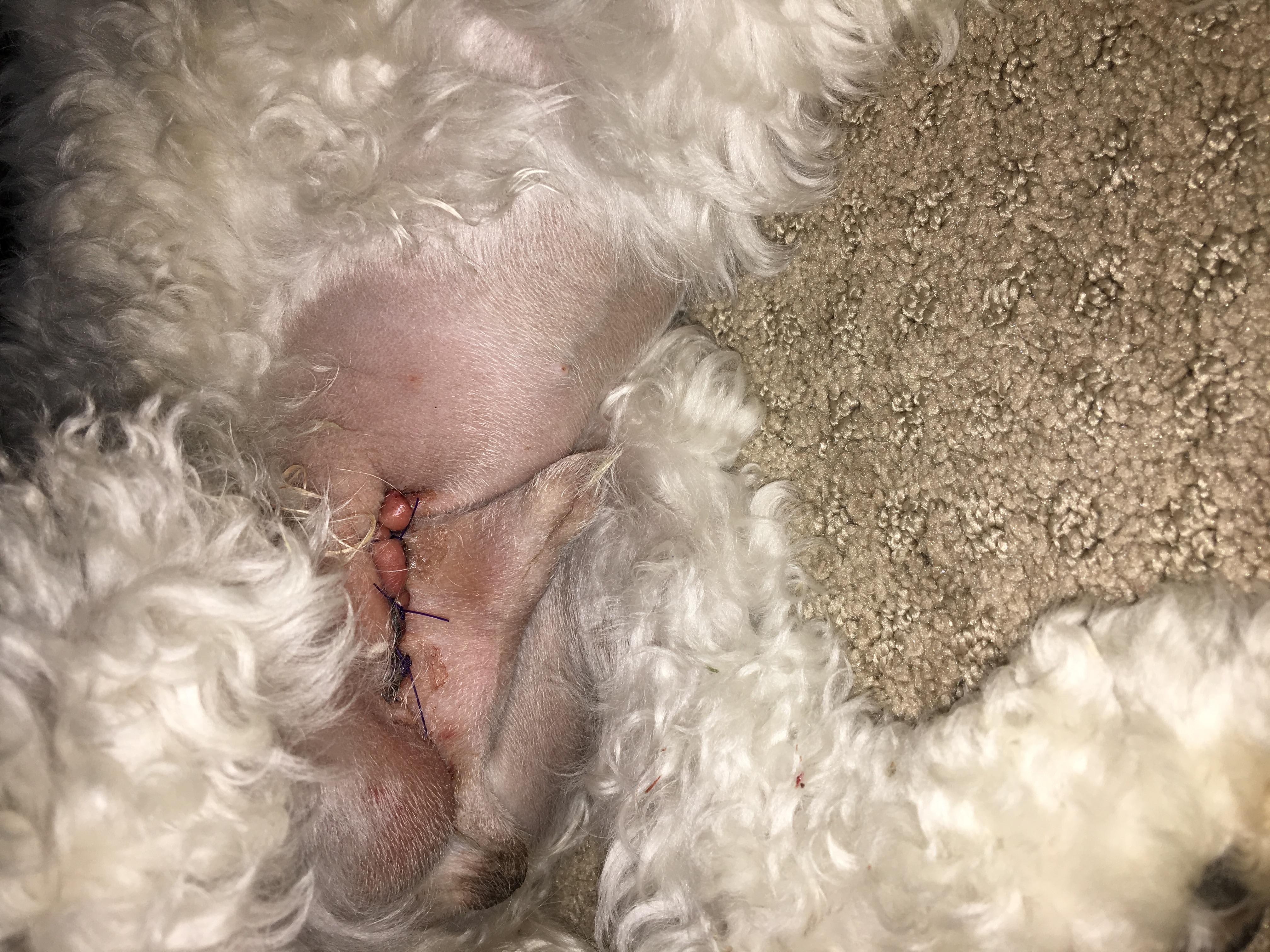 Question details sensitive content