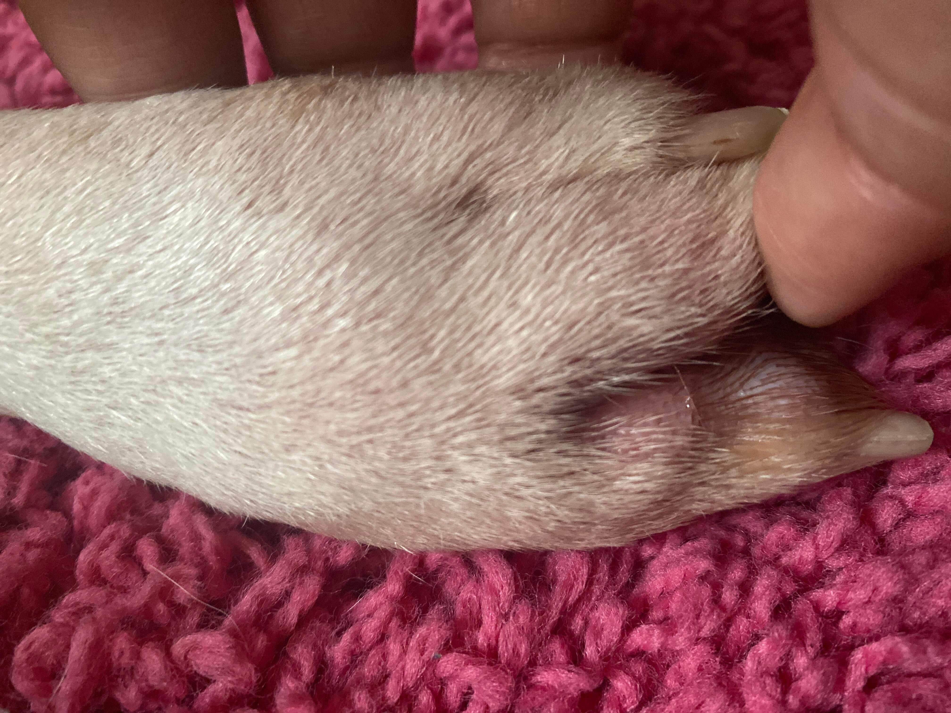 Question details sensitive content