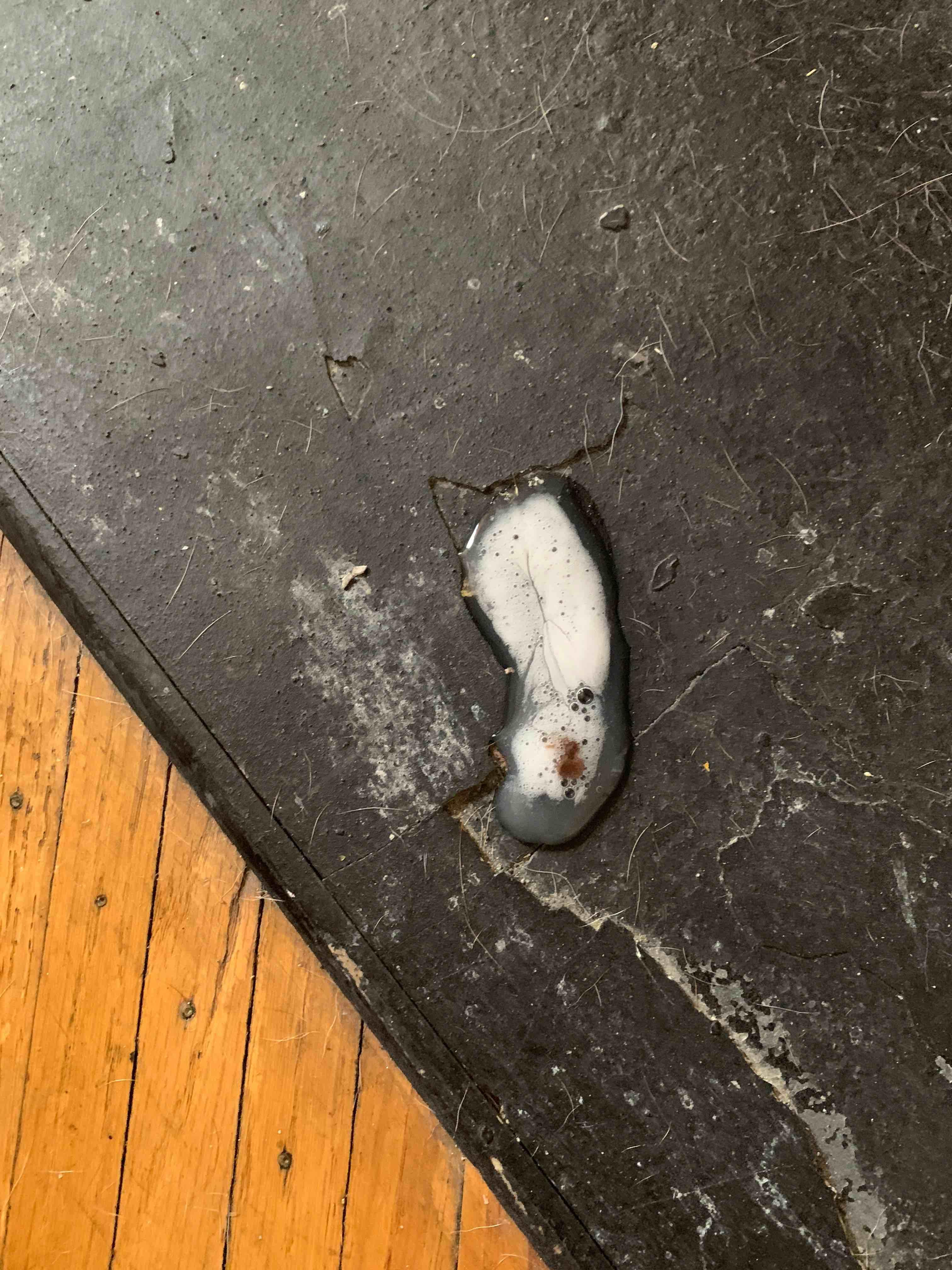 Question details sensitive content