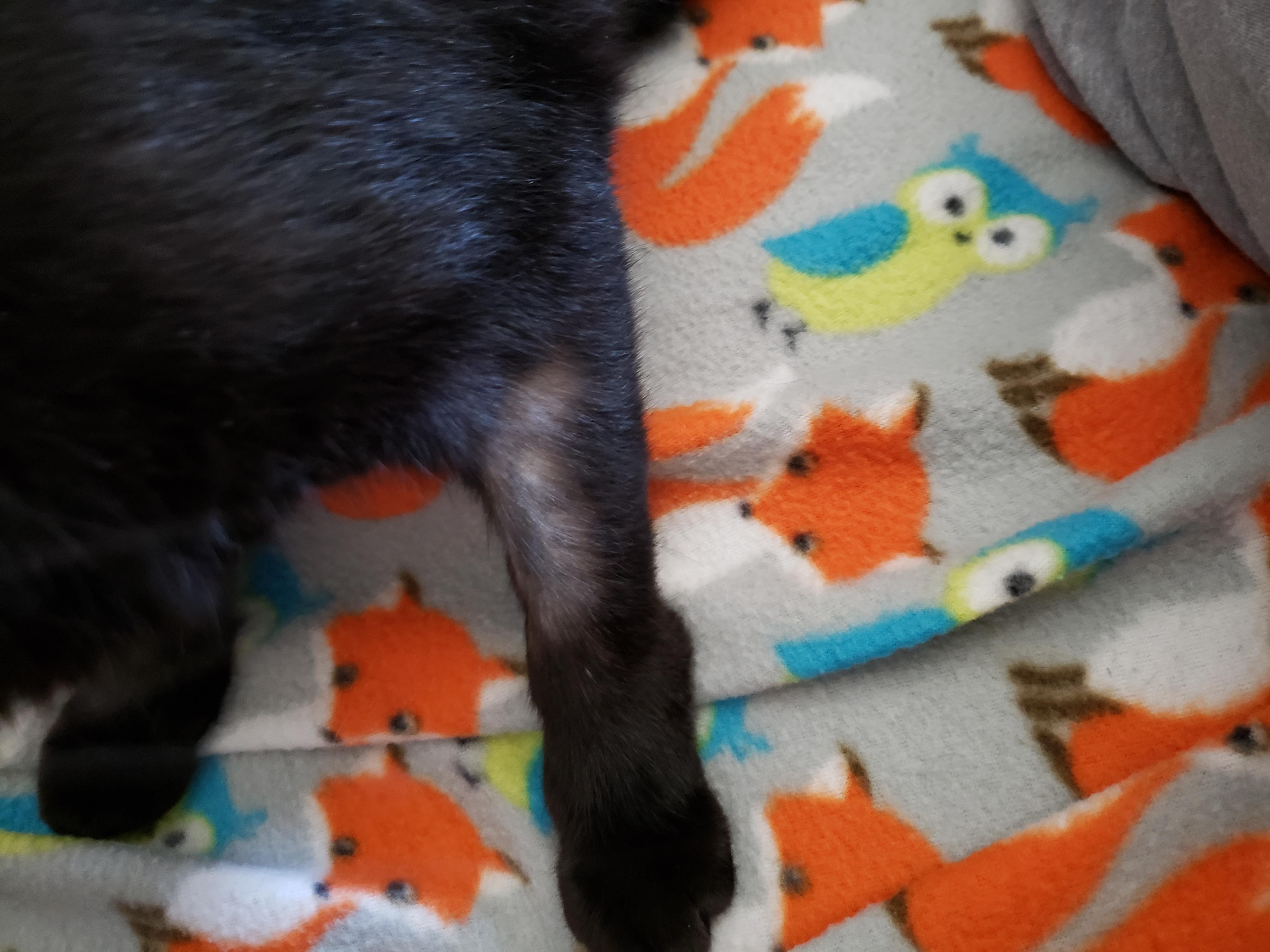 Question details sensitive content