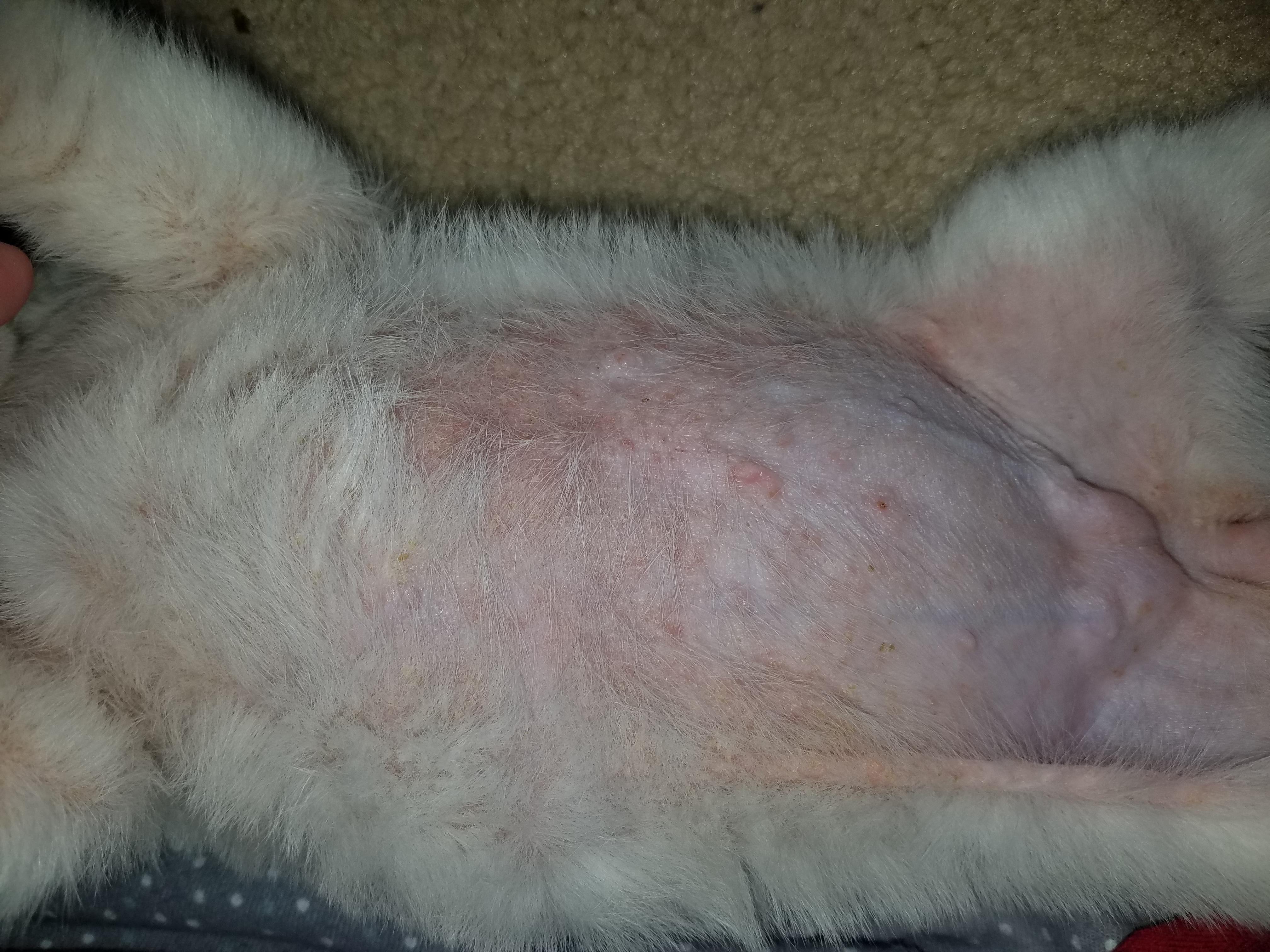 Question details sensitive content