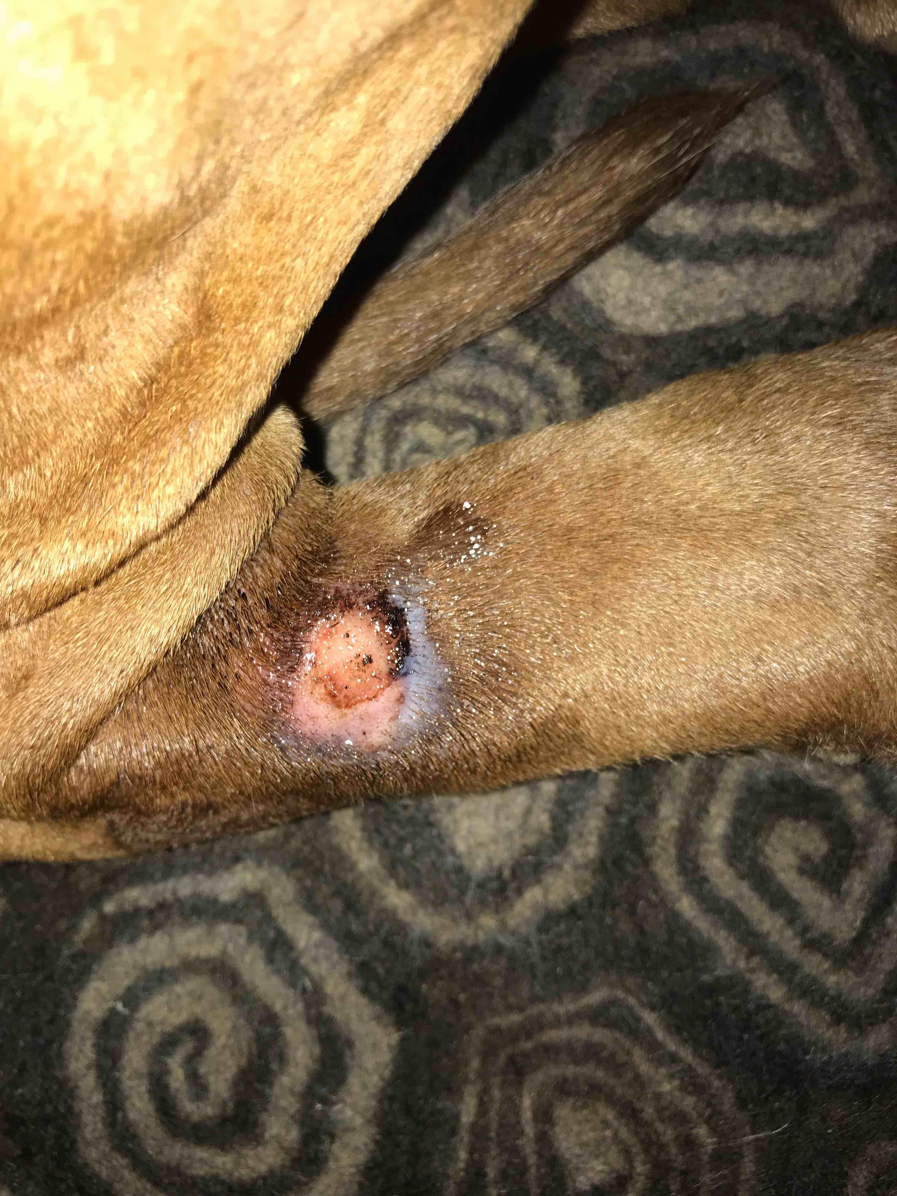 Question details sensitive content