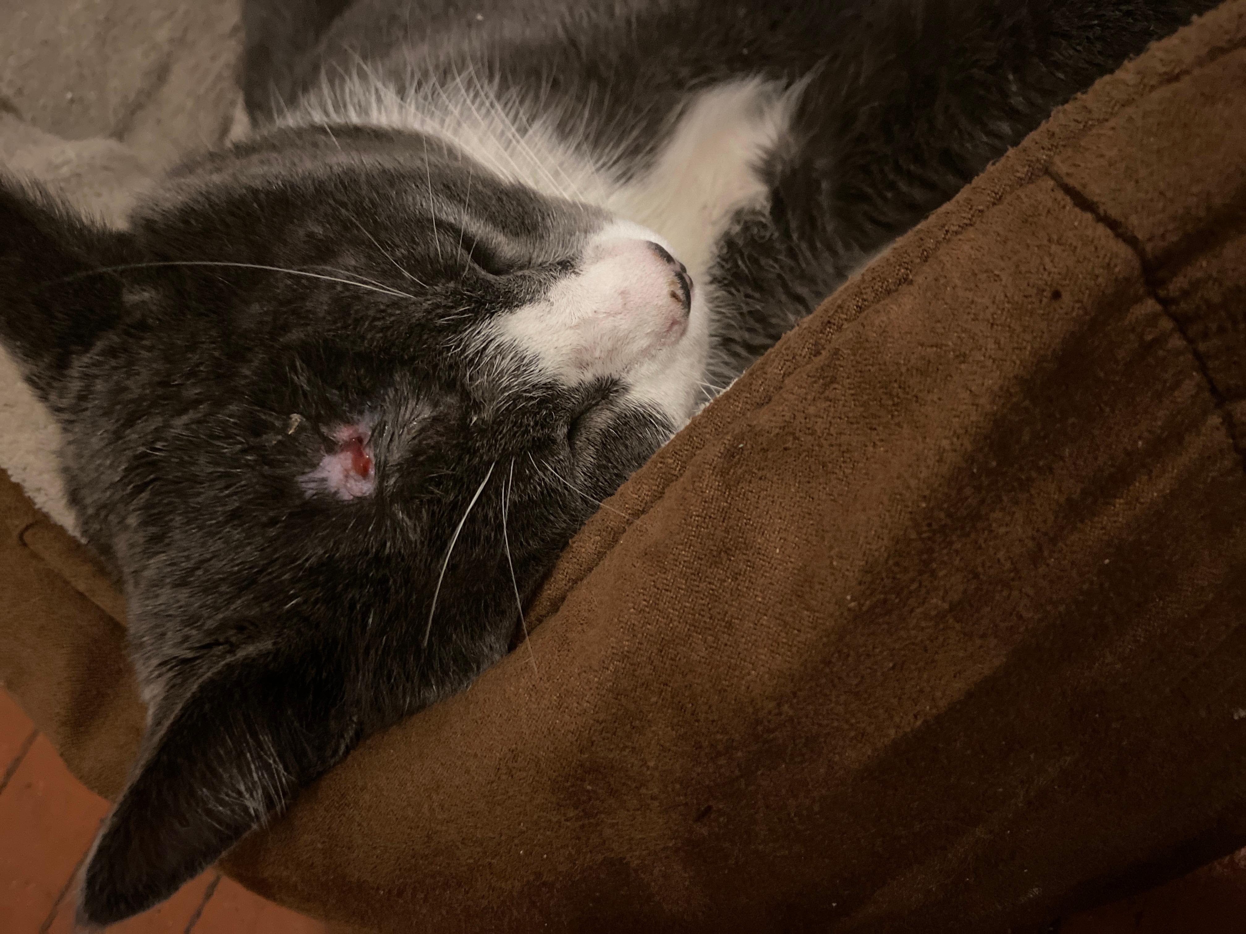 Question details sensitive content