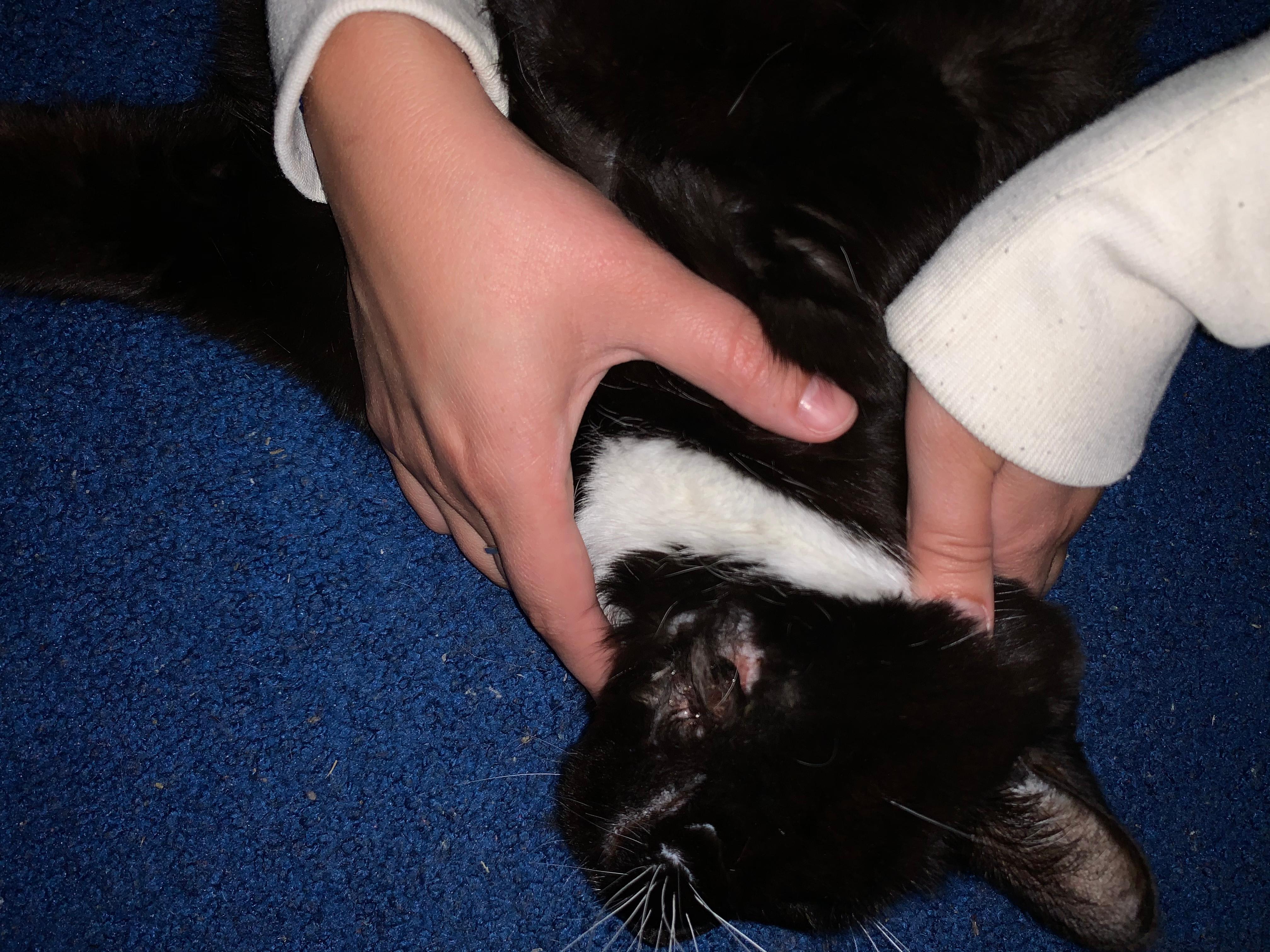 Question details sensitive content