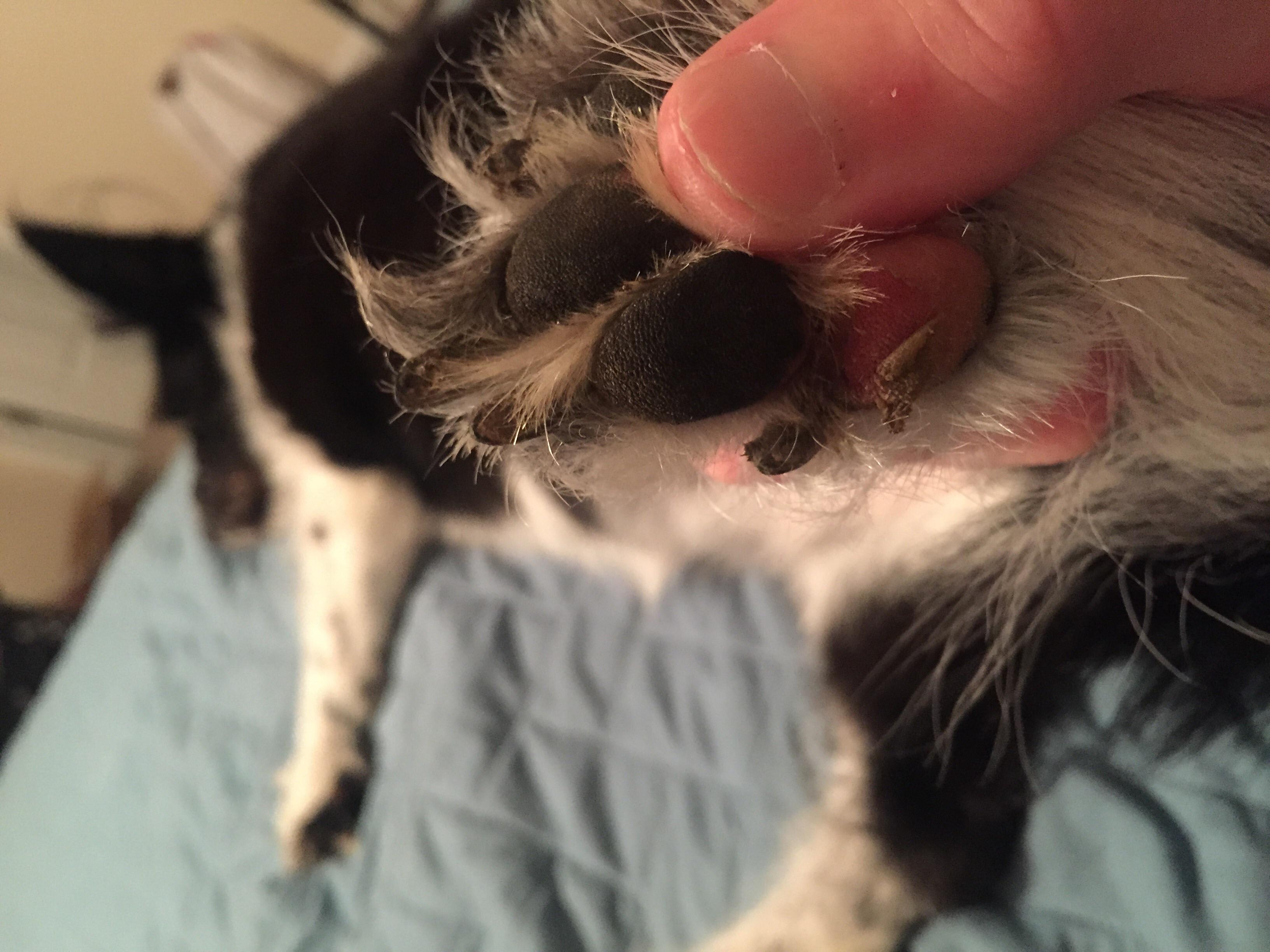 Question details sensitive content