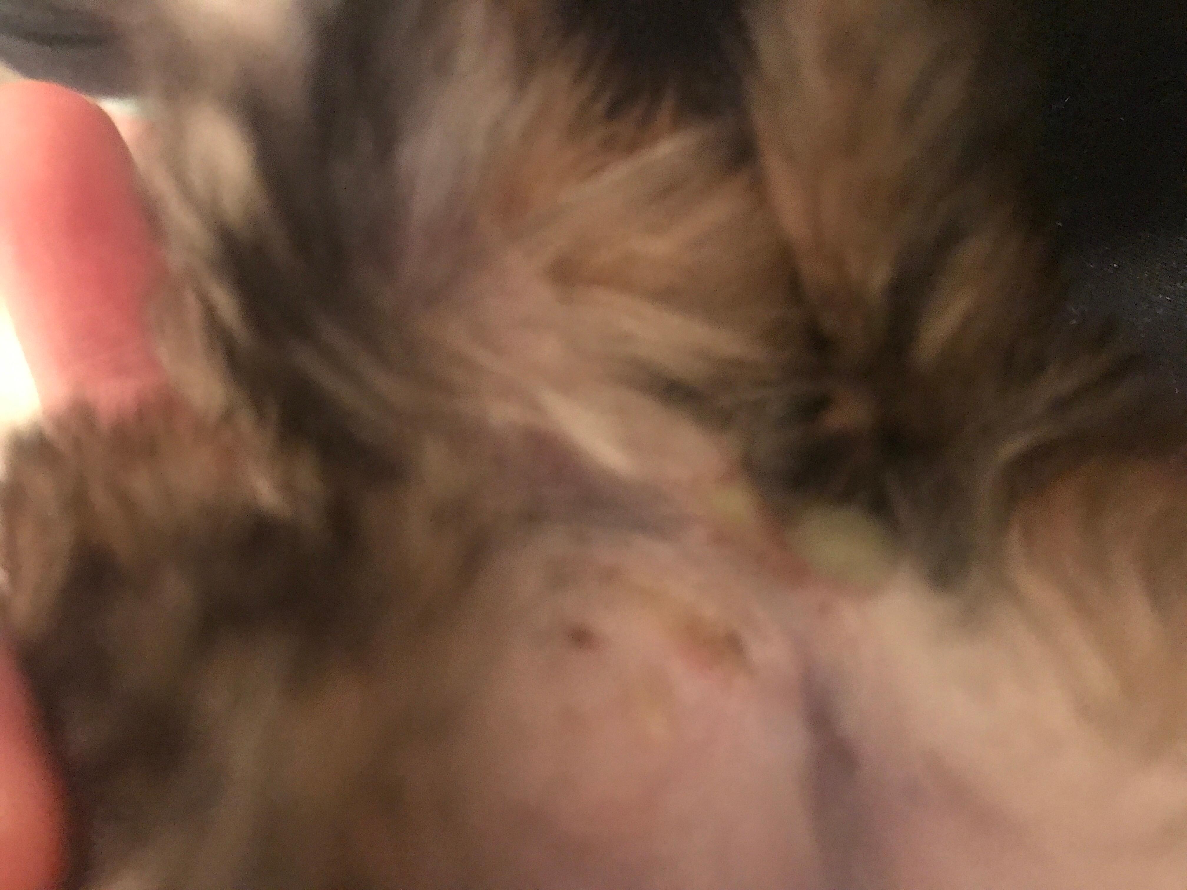 Question details sensitive content