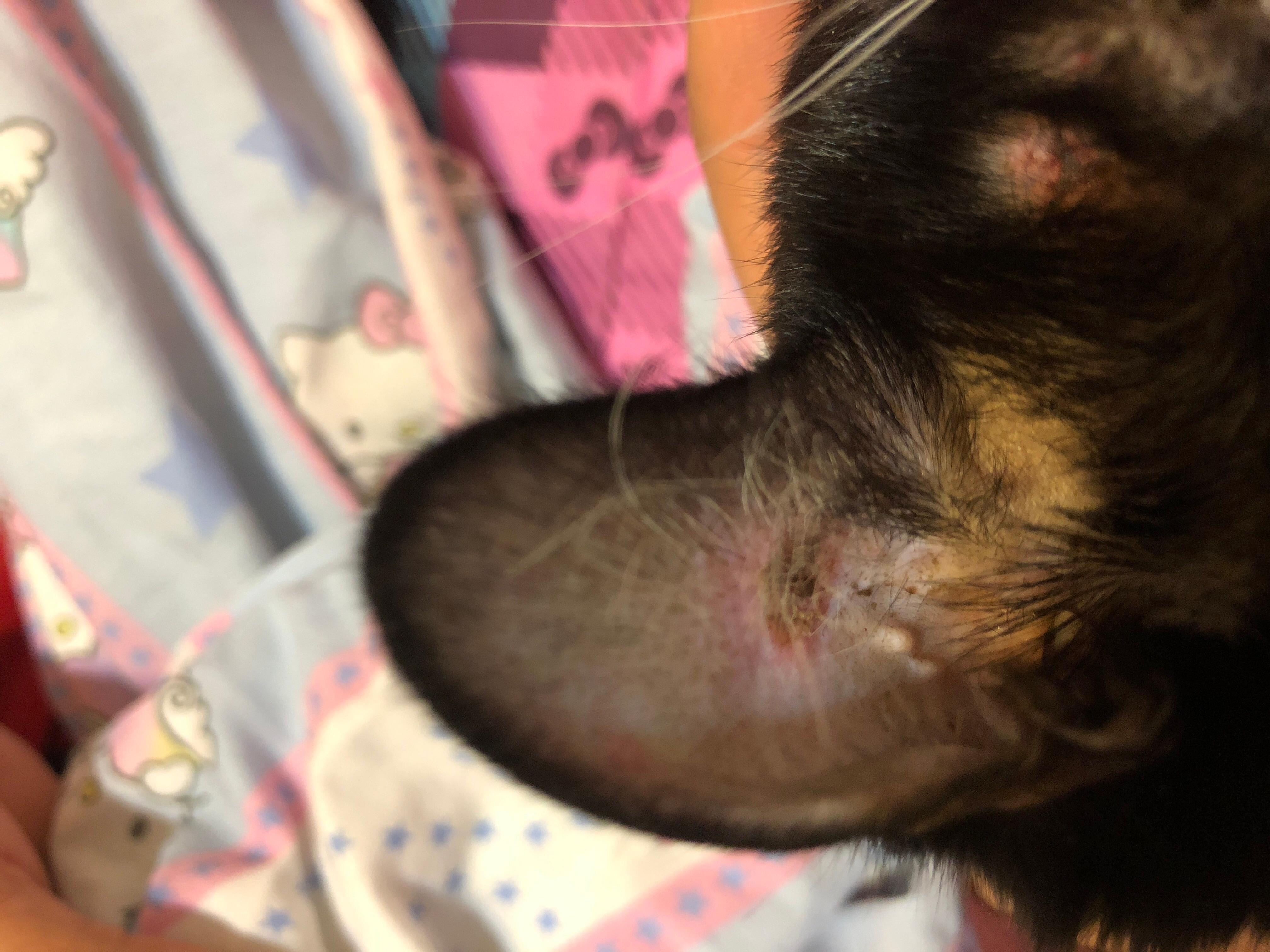 Question details sensitive content