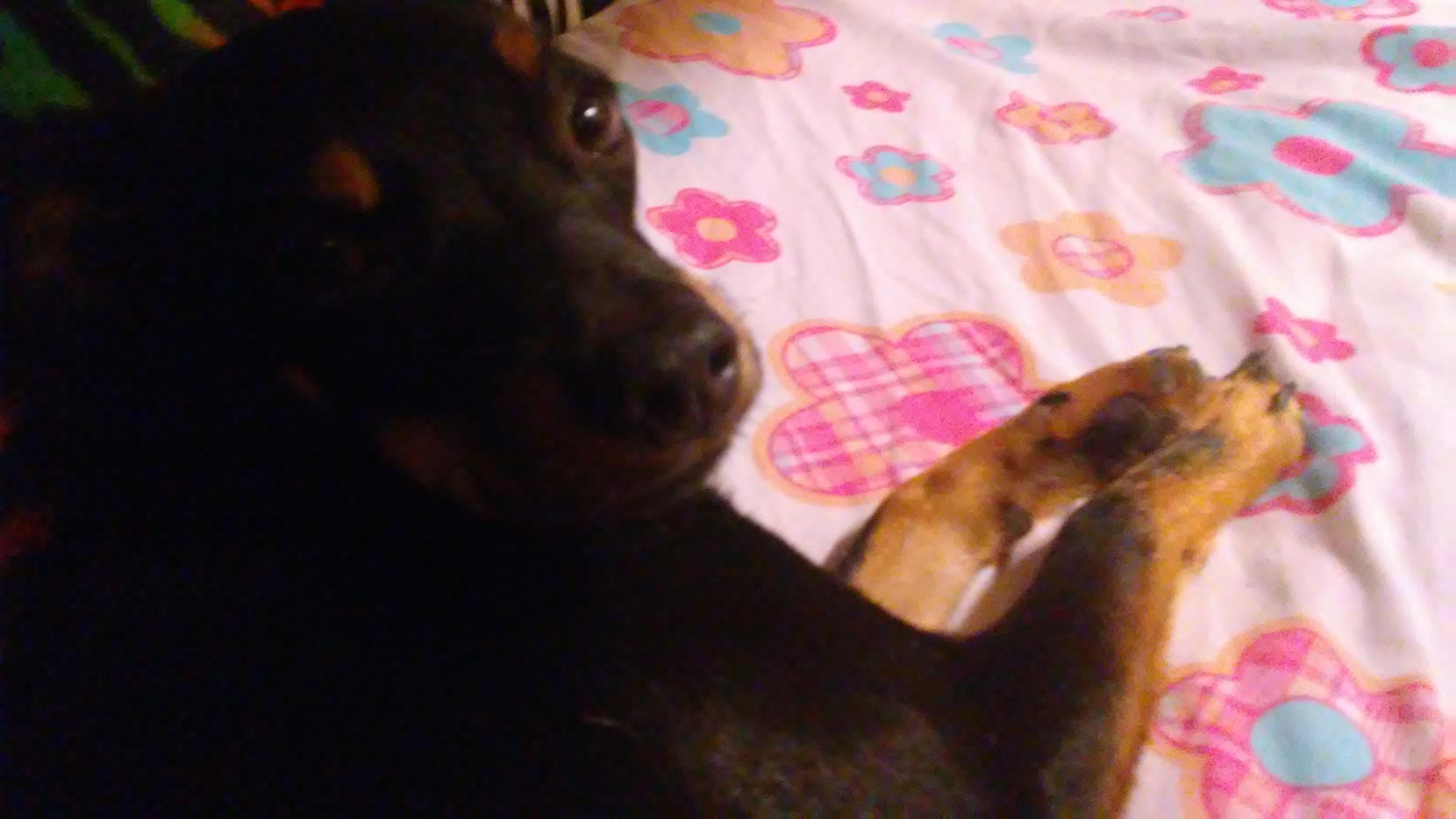 Question details sensitive content