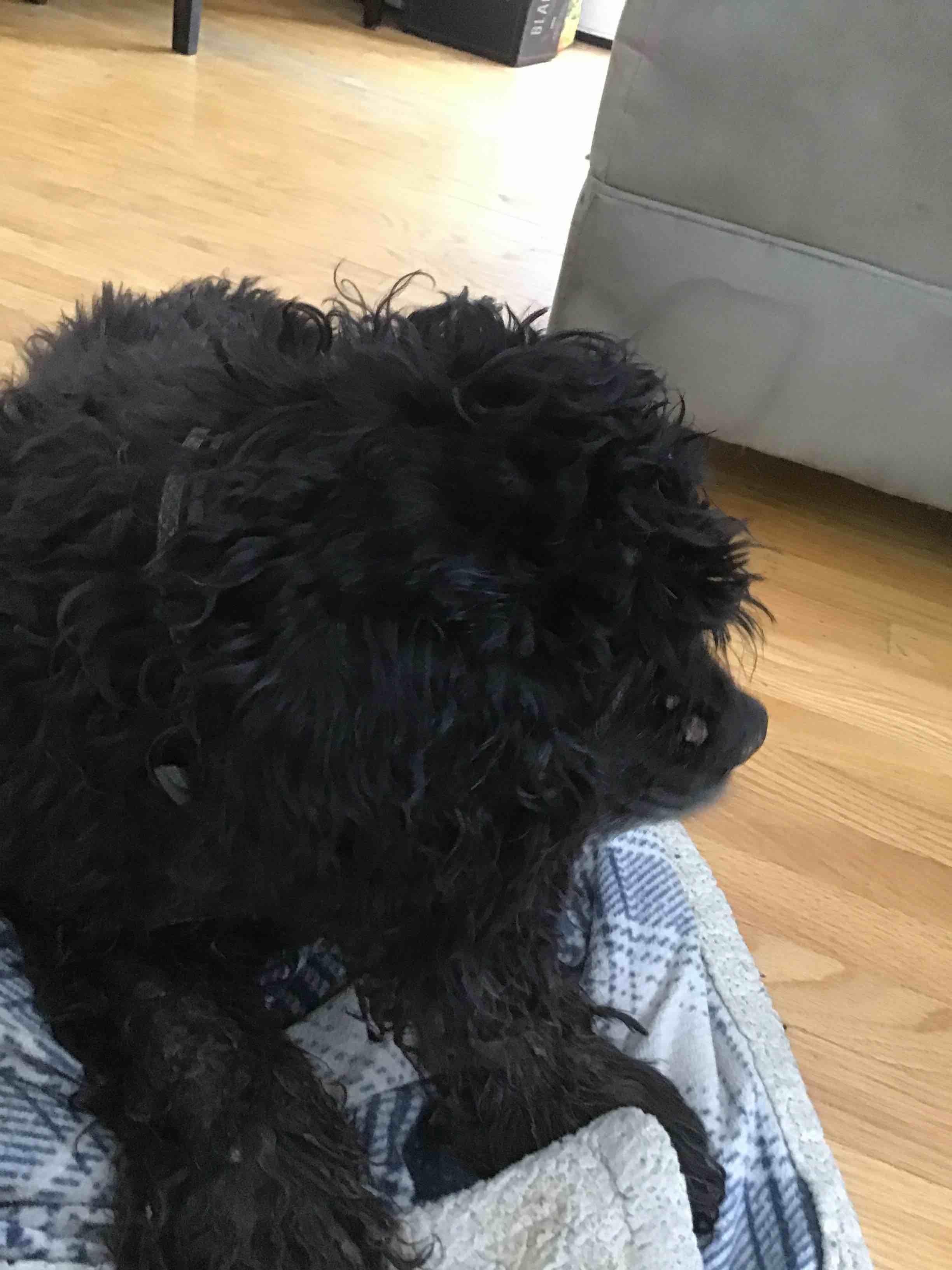 Question details sensitive content