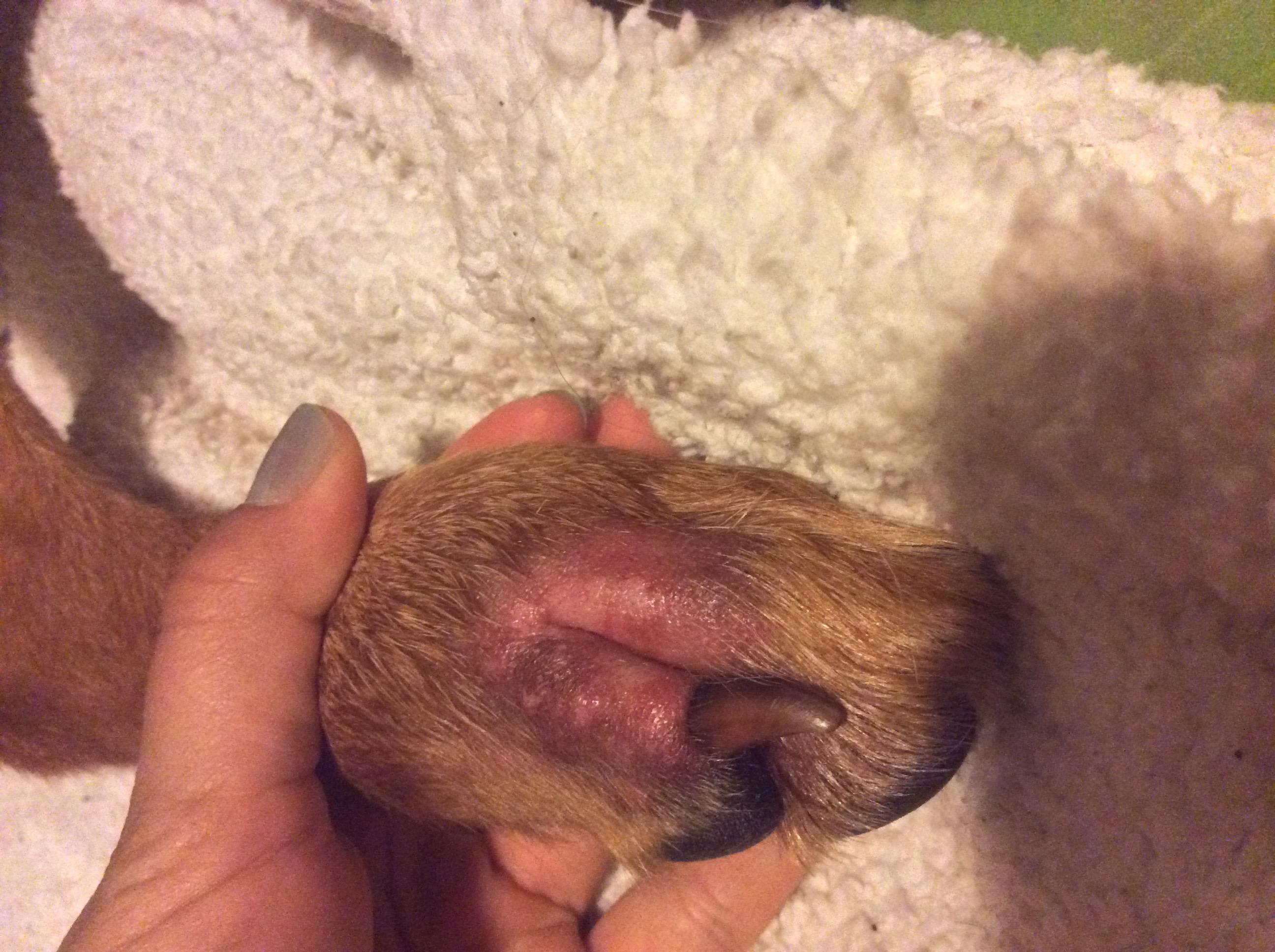 Question details sensitive content