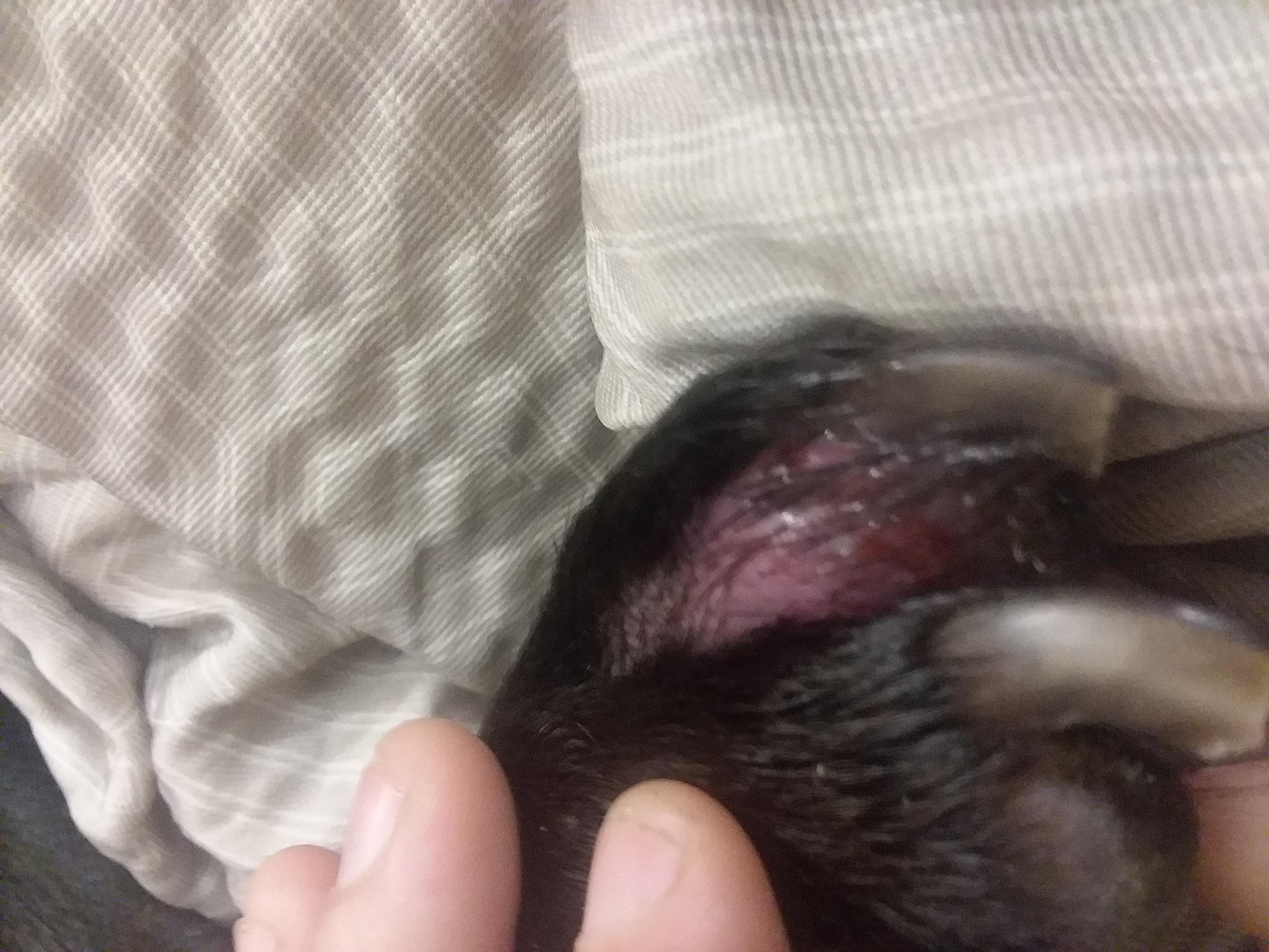 Question details sensitive content