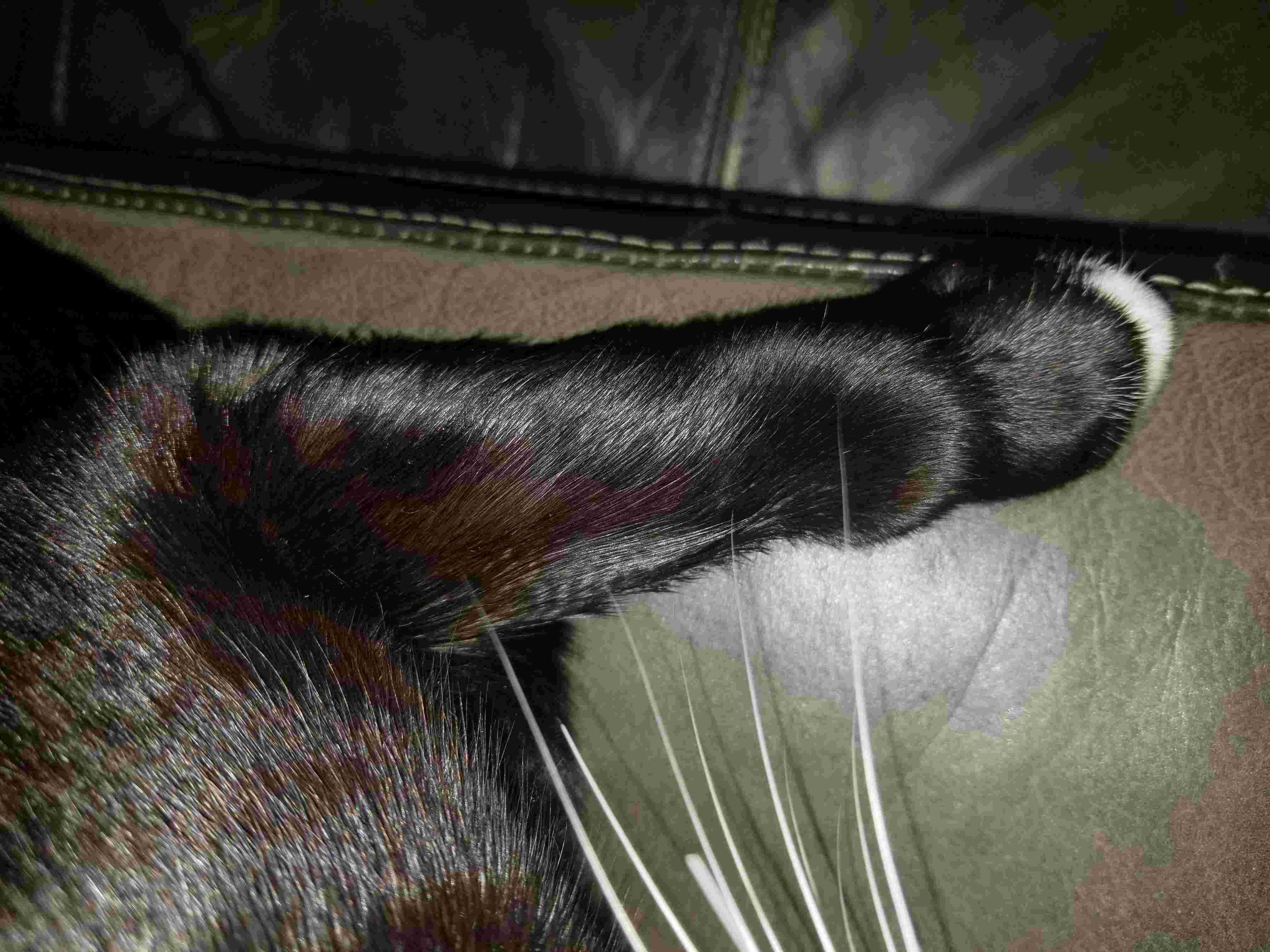 Question details sensitive content