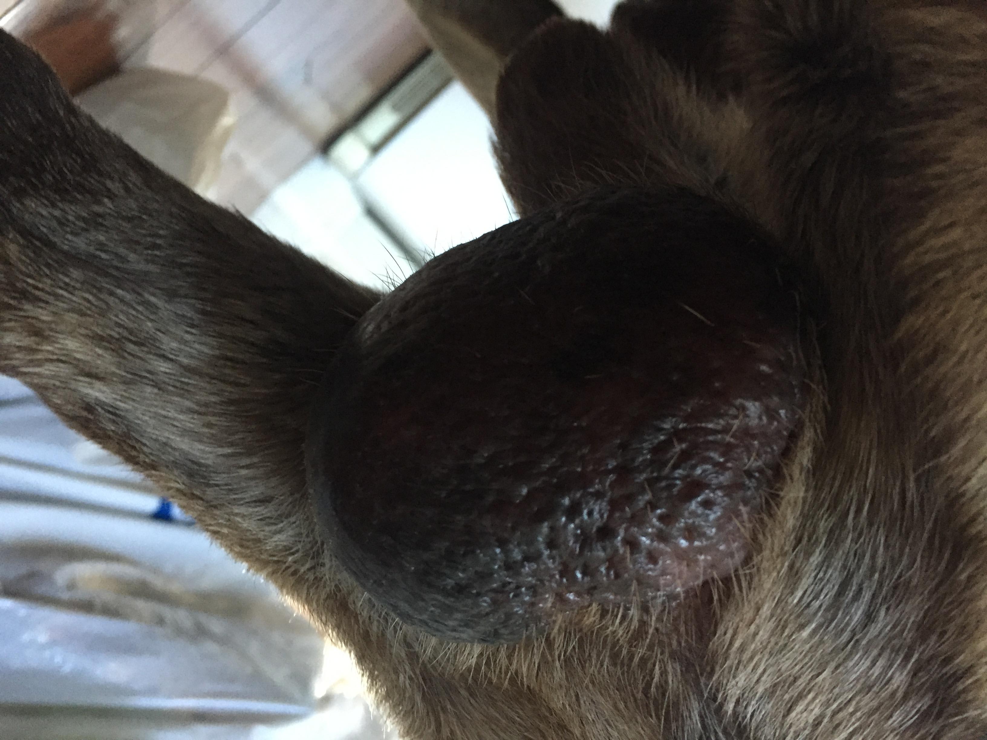 Question details sensitive content