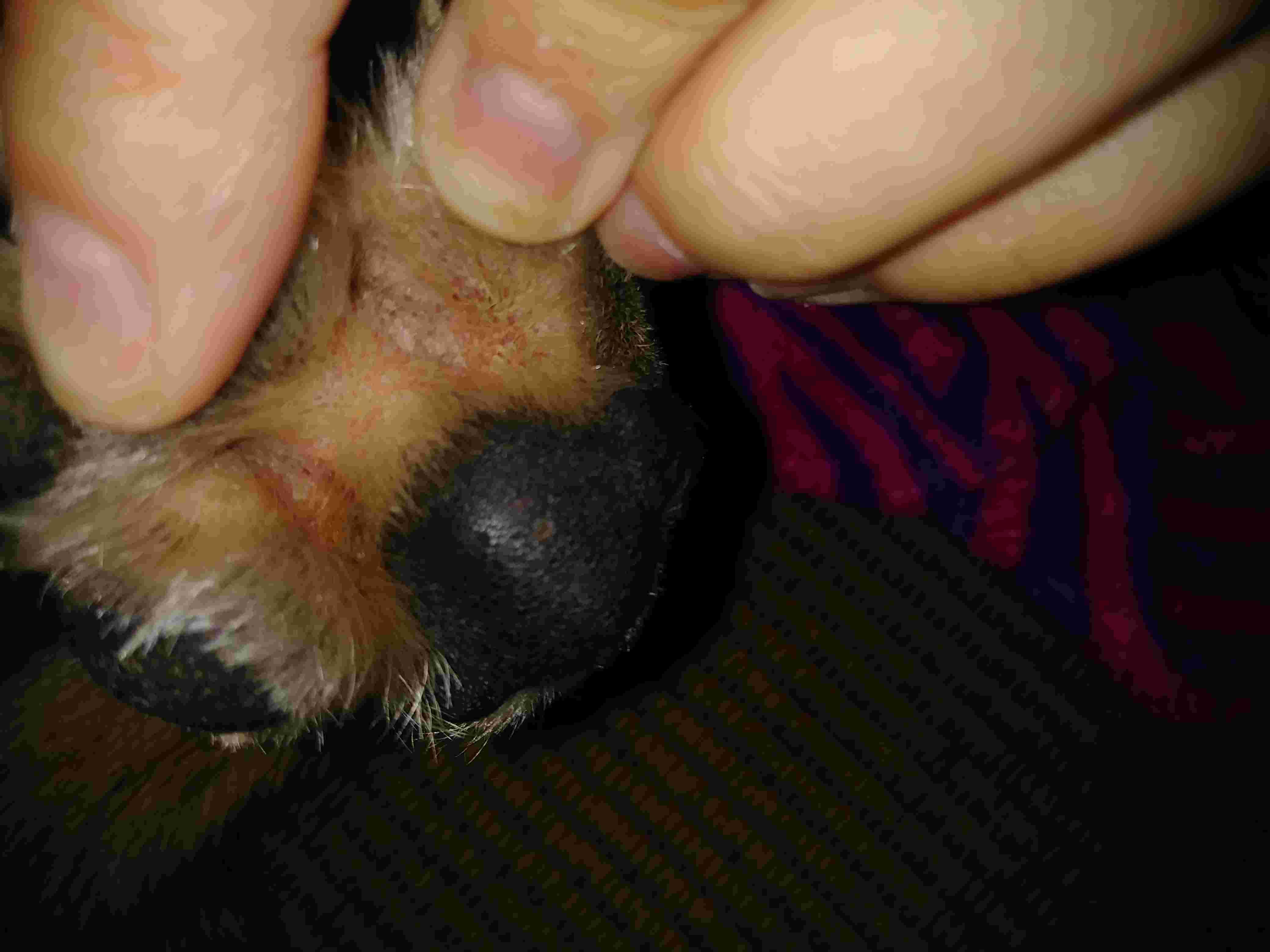 Question details sensitive content