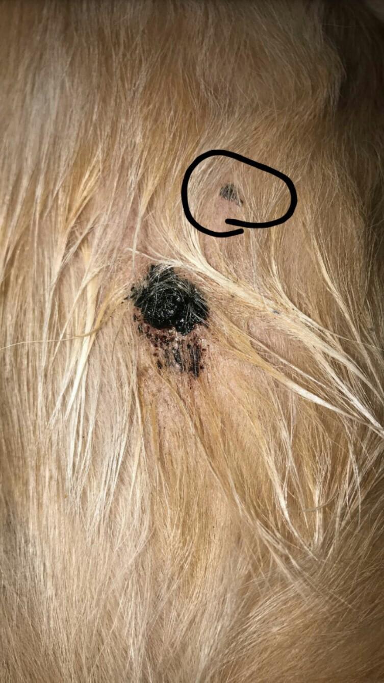 Question details sensitive content