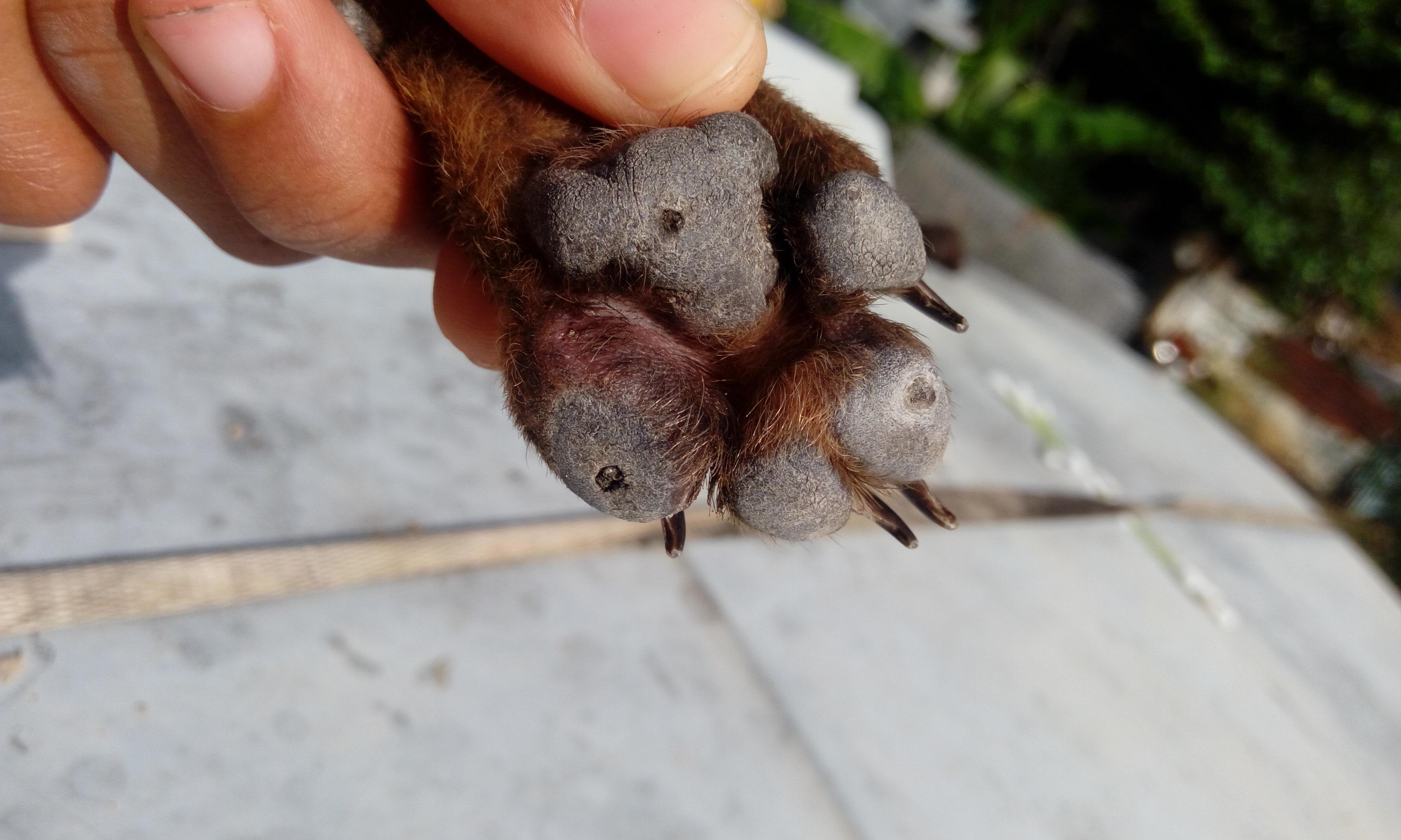 Question details sensitive content