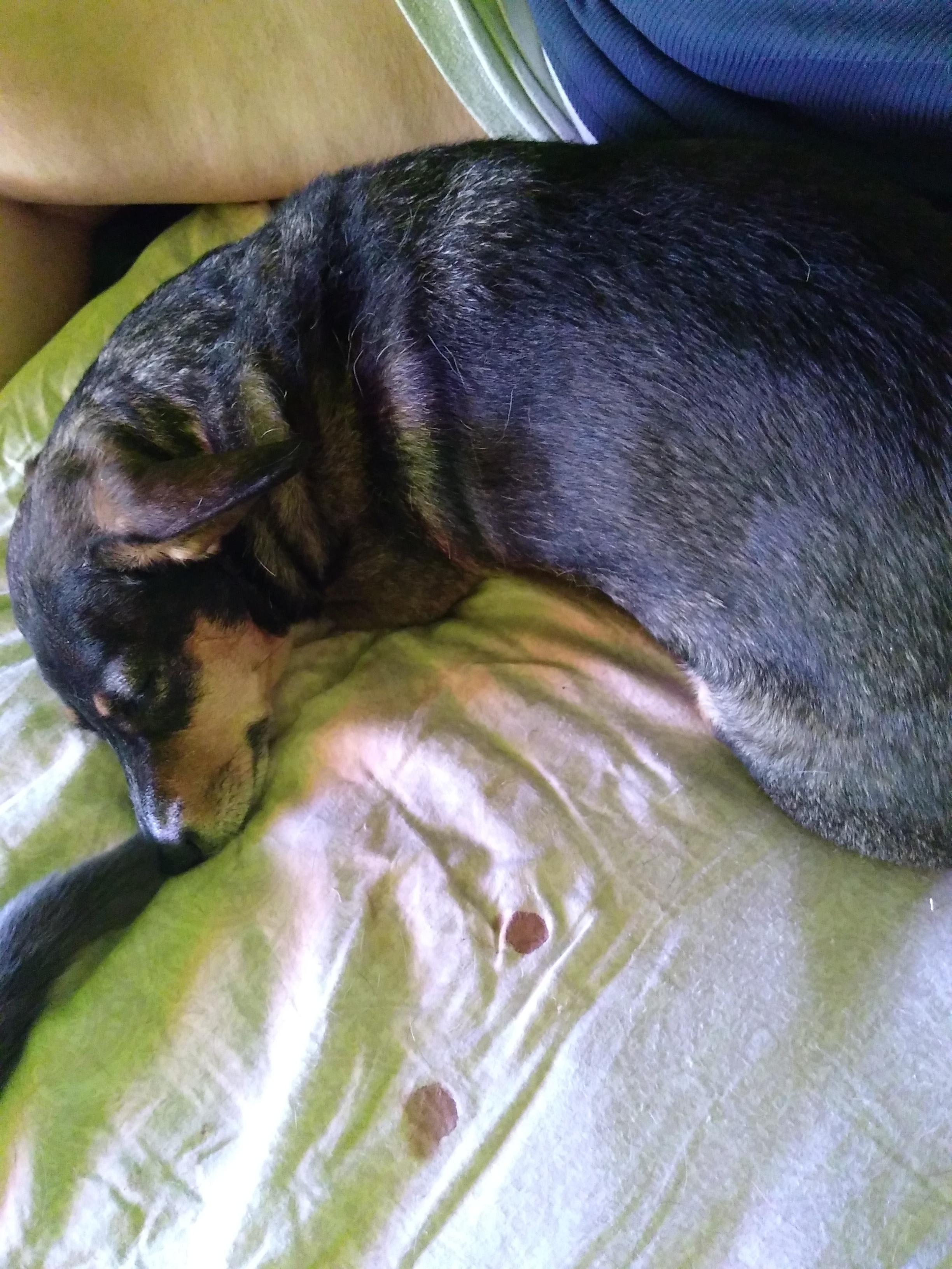 Question details sensitive content