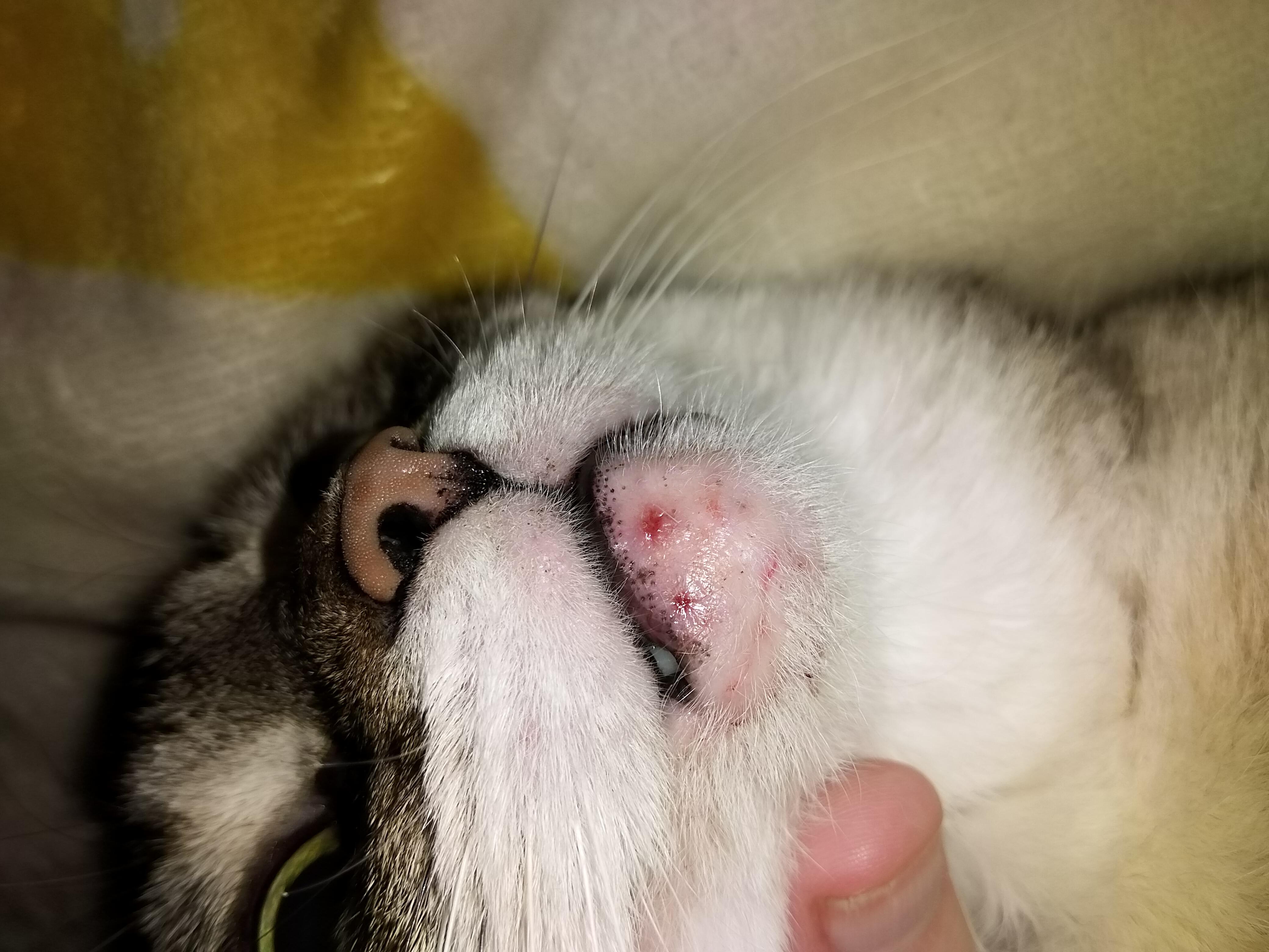 Question details sensitive content