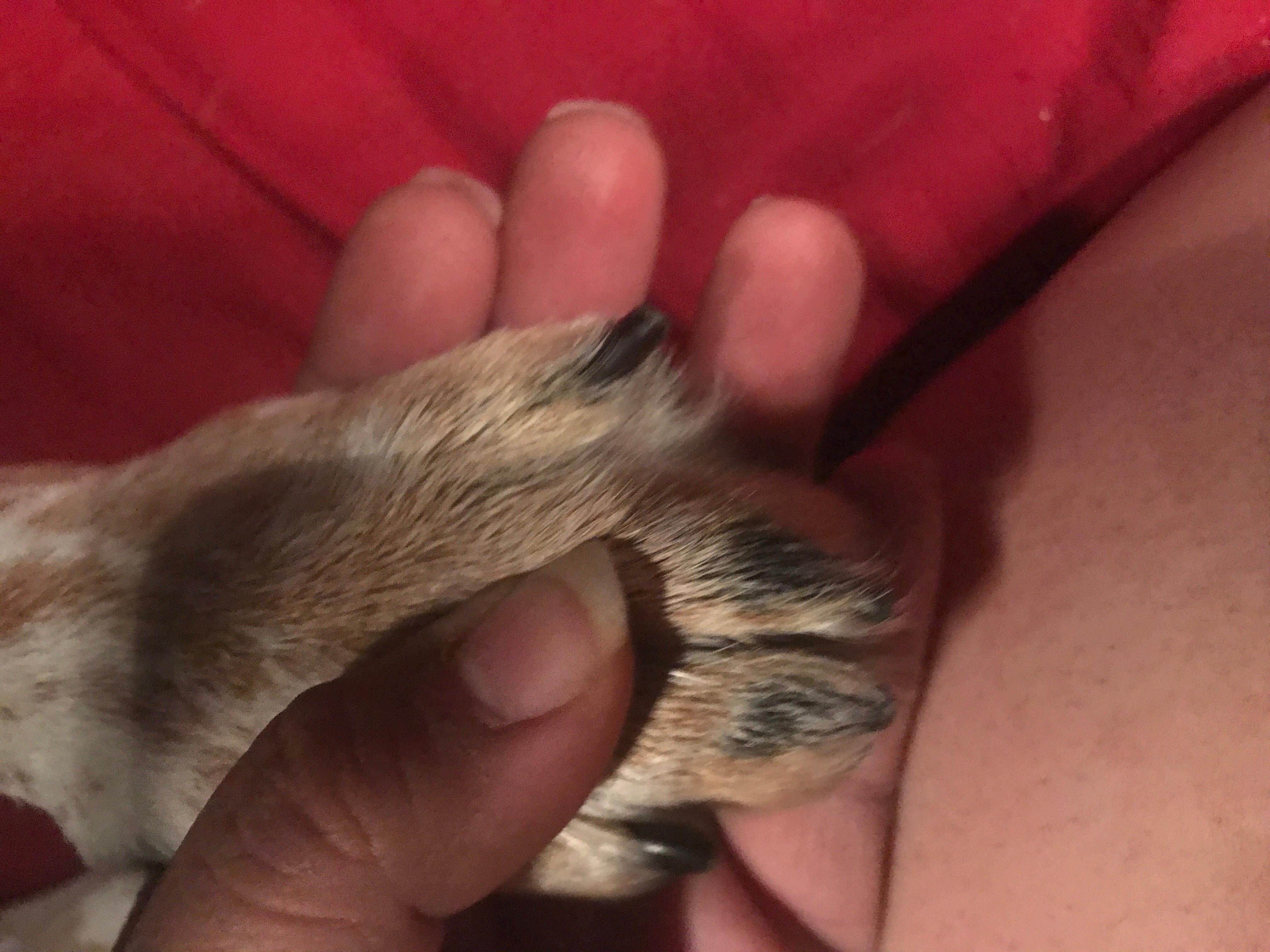 Question details sensitive content