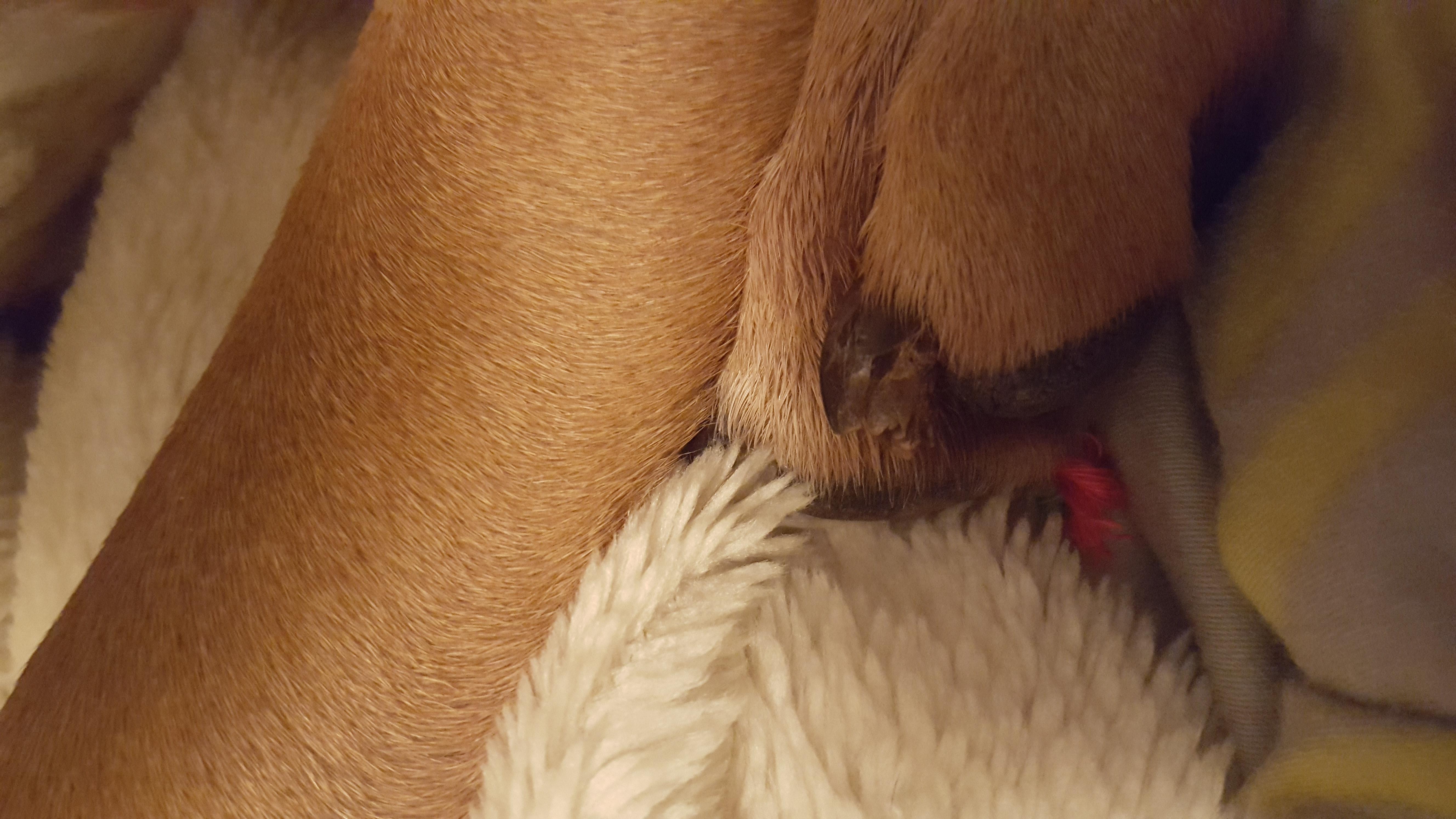 Question details sensitive content