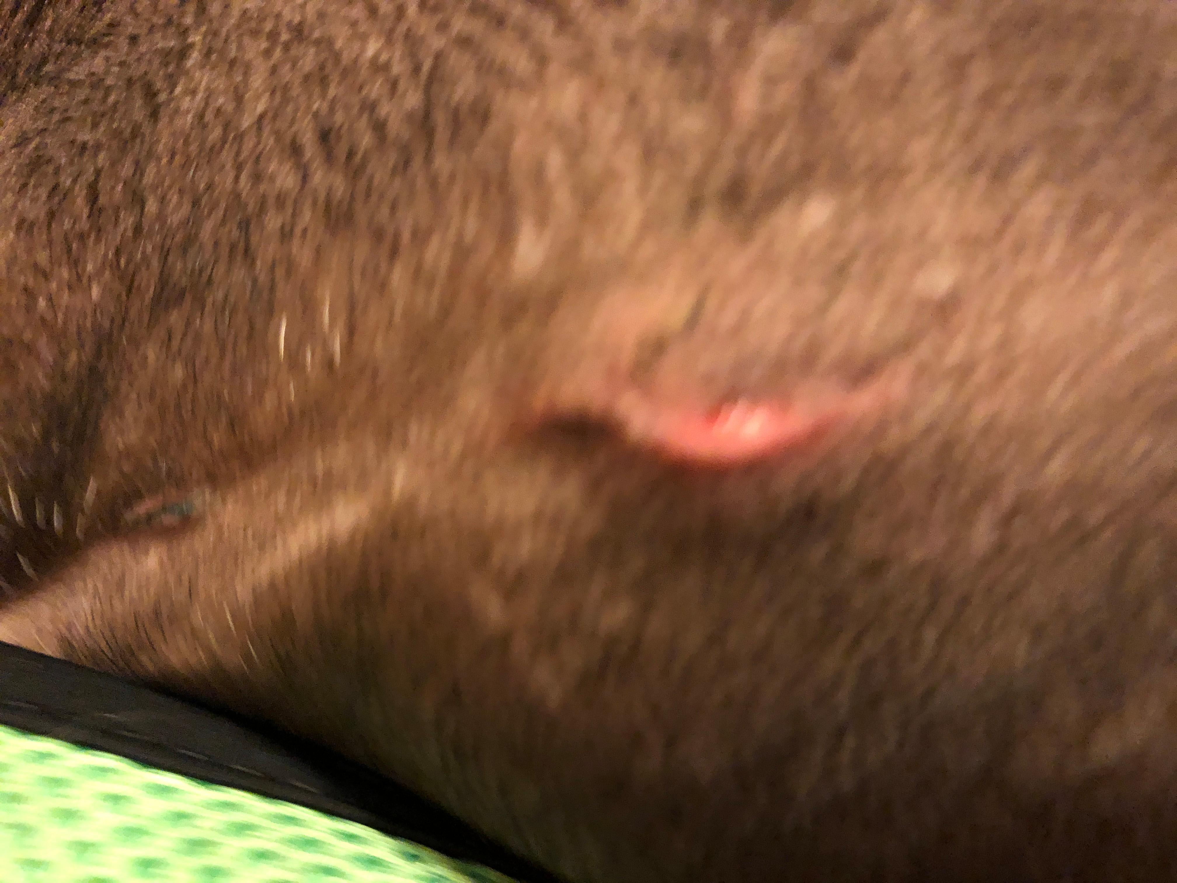 Question details sensitive content