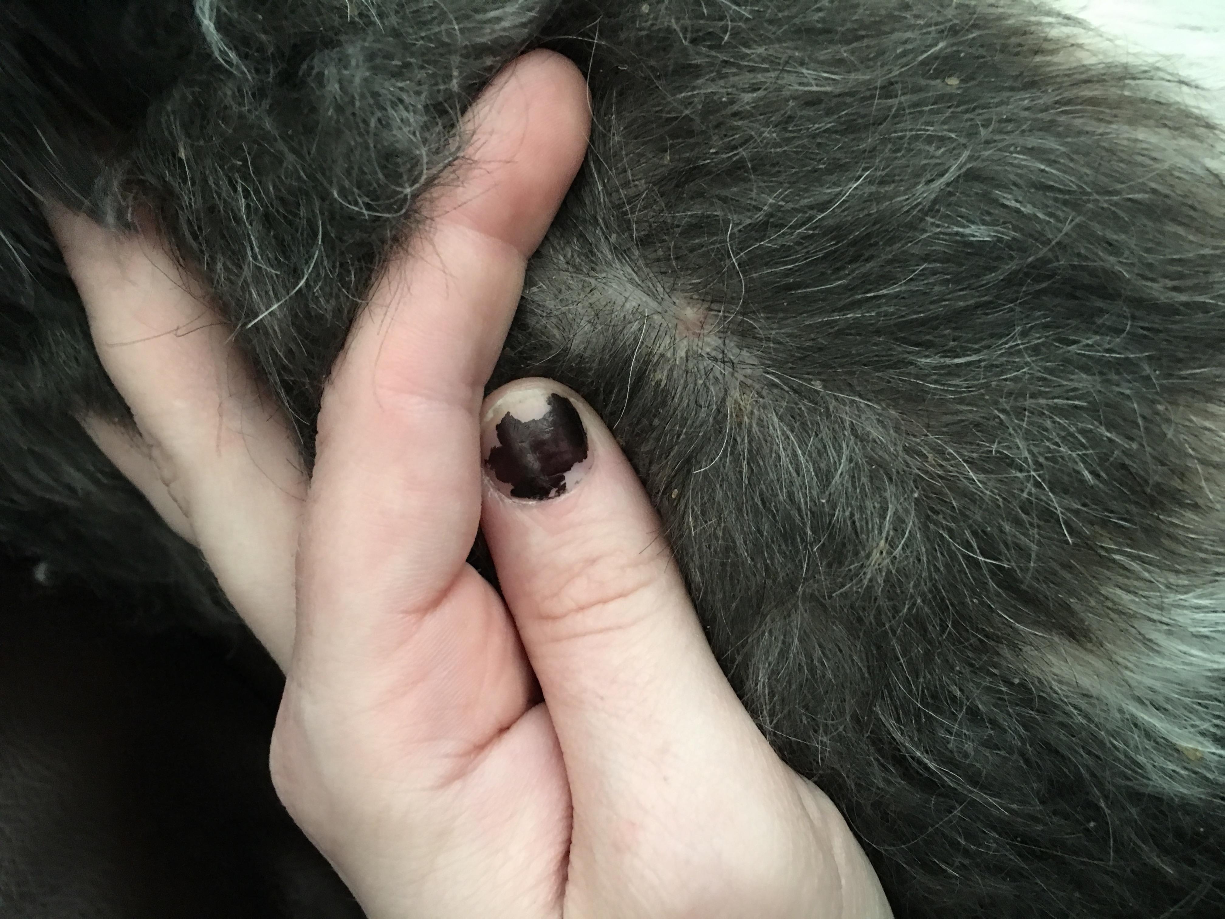 Question details sensitive content