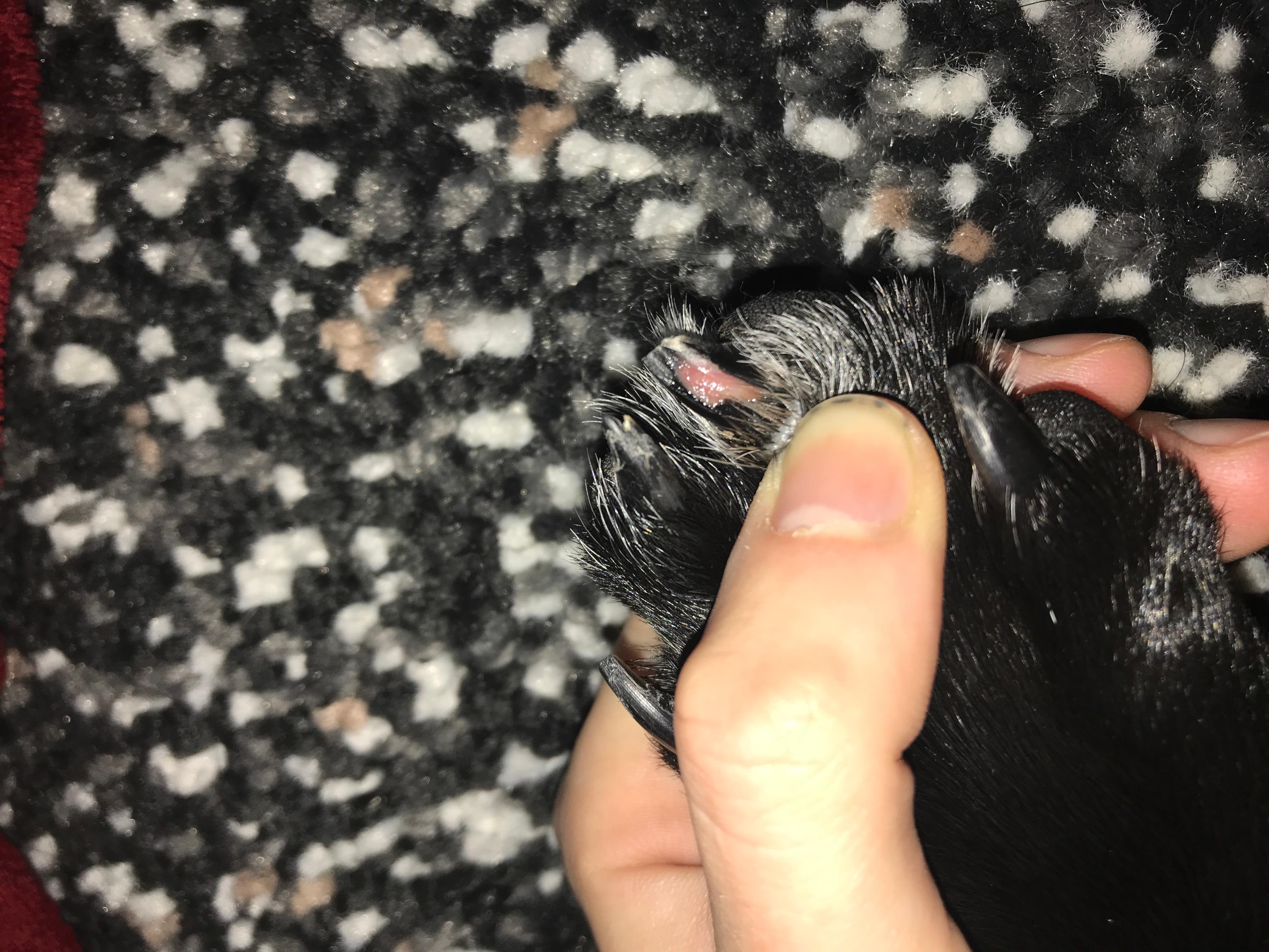 Question details sensitive content