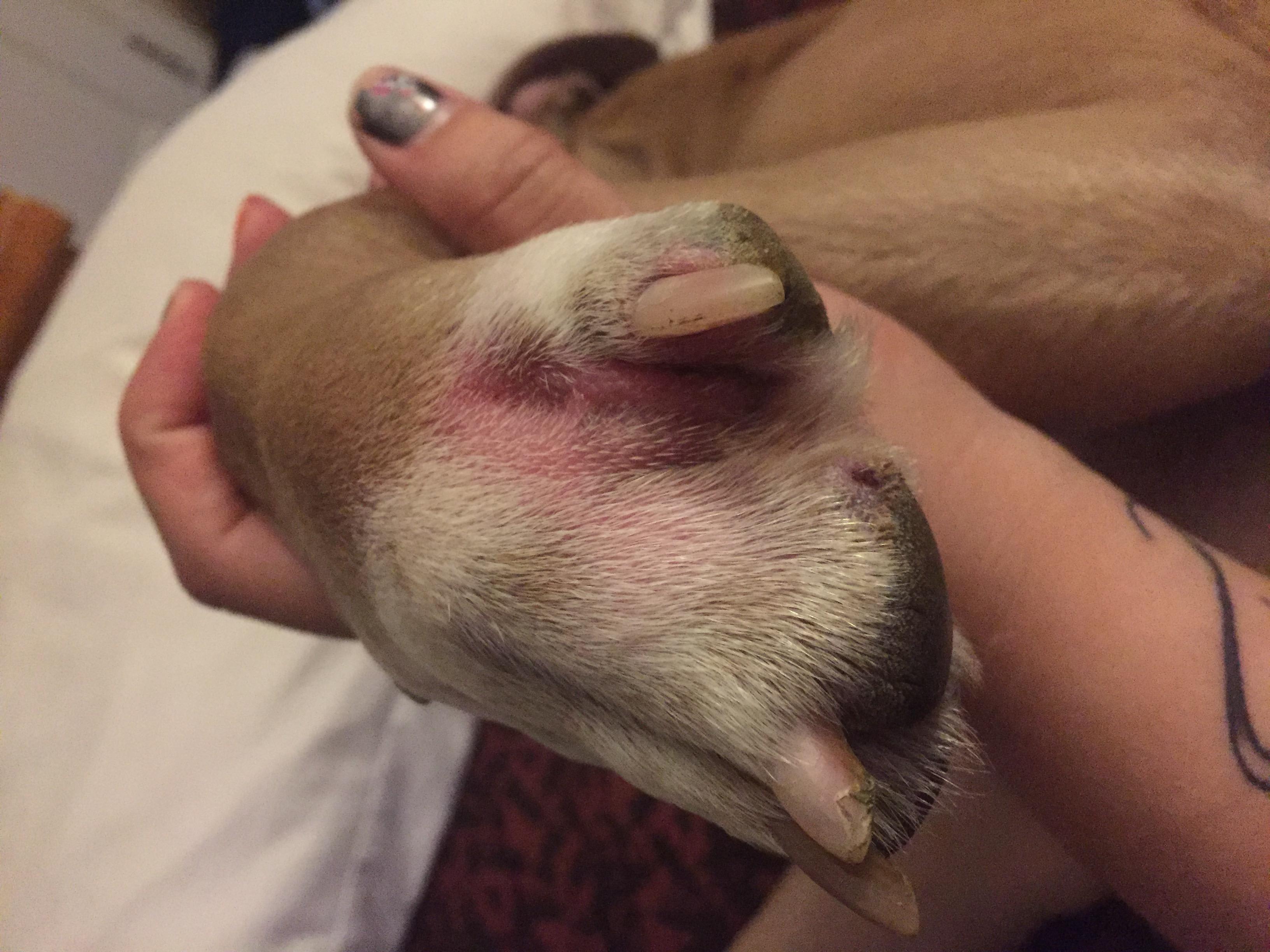 Question details sensitive content