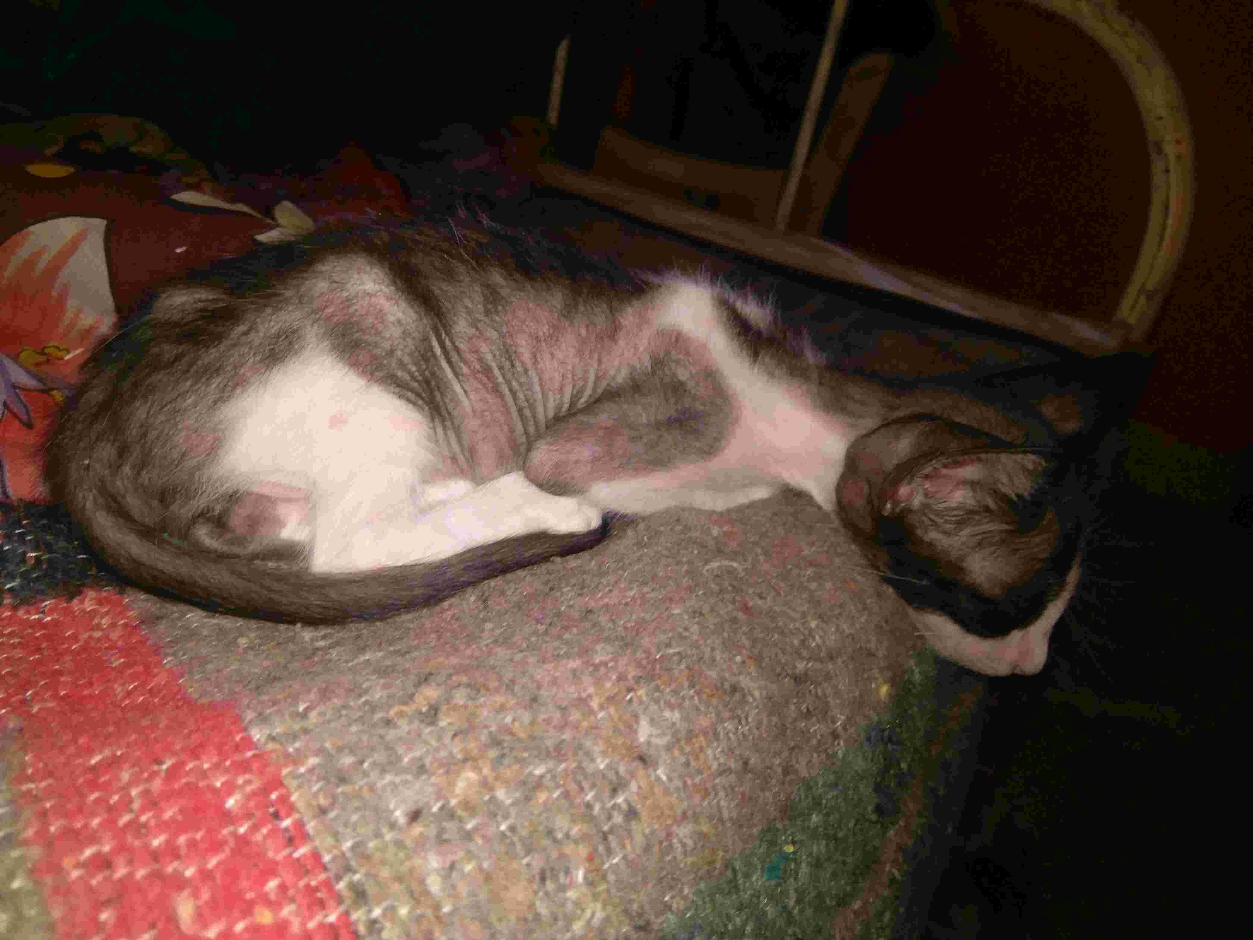 Question details sensitive content