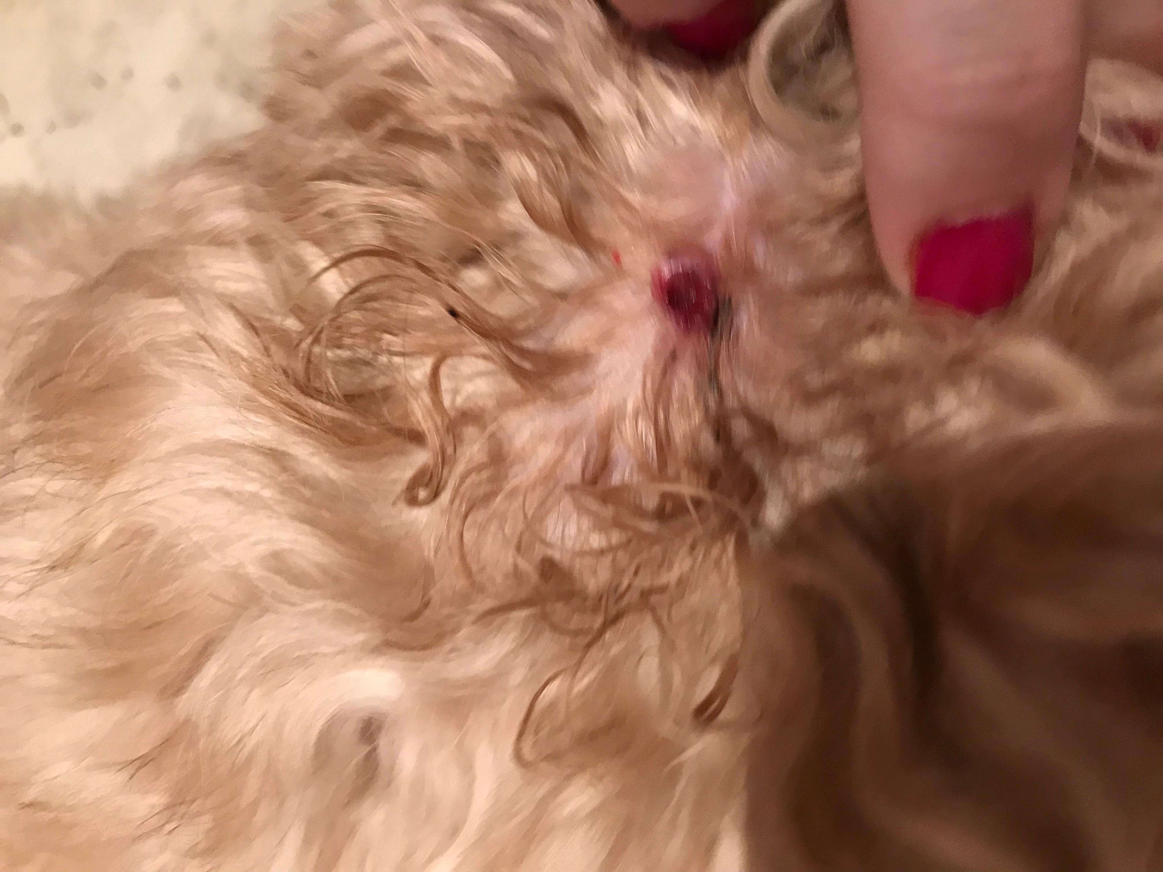 Question details sensitive content