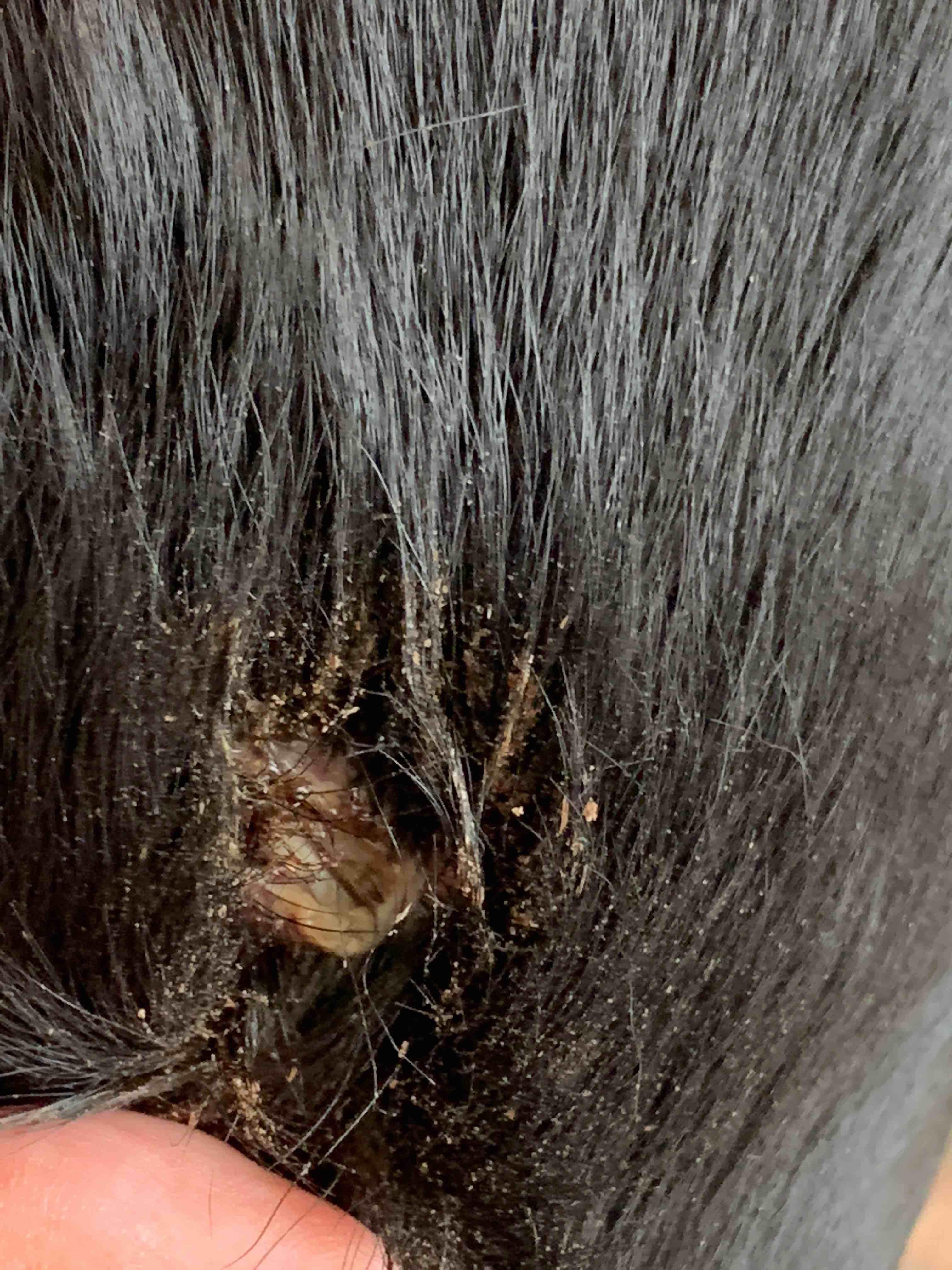 Question details sensitive content