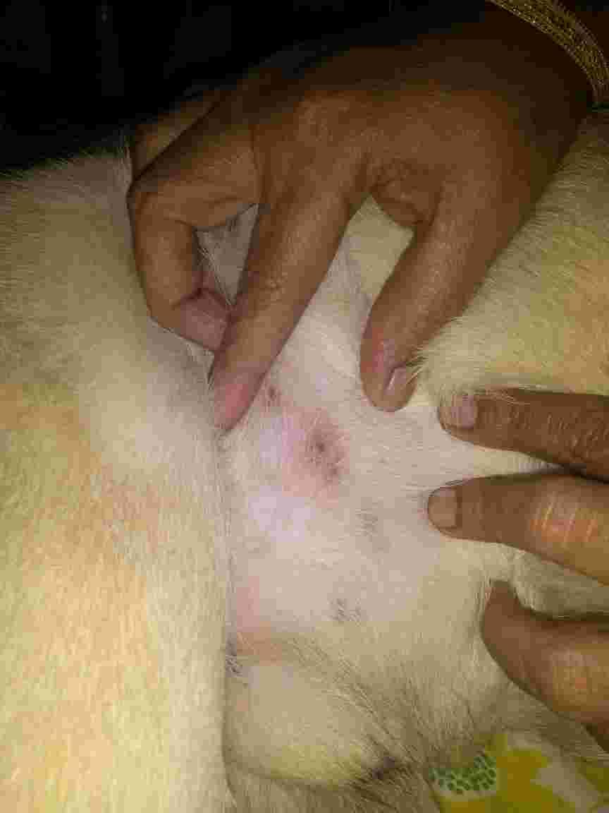 Question details sensitive content