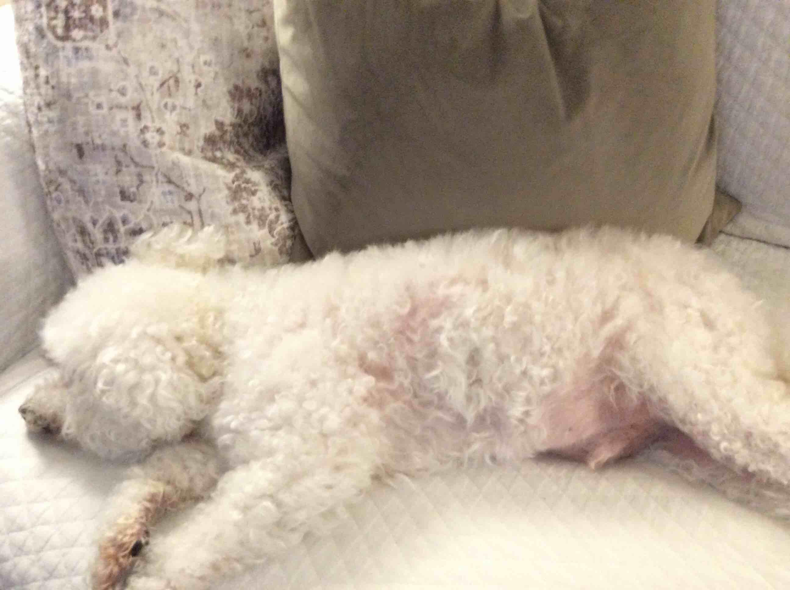 Question details sensitive content