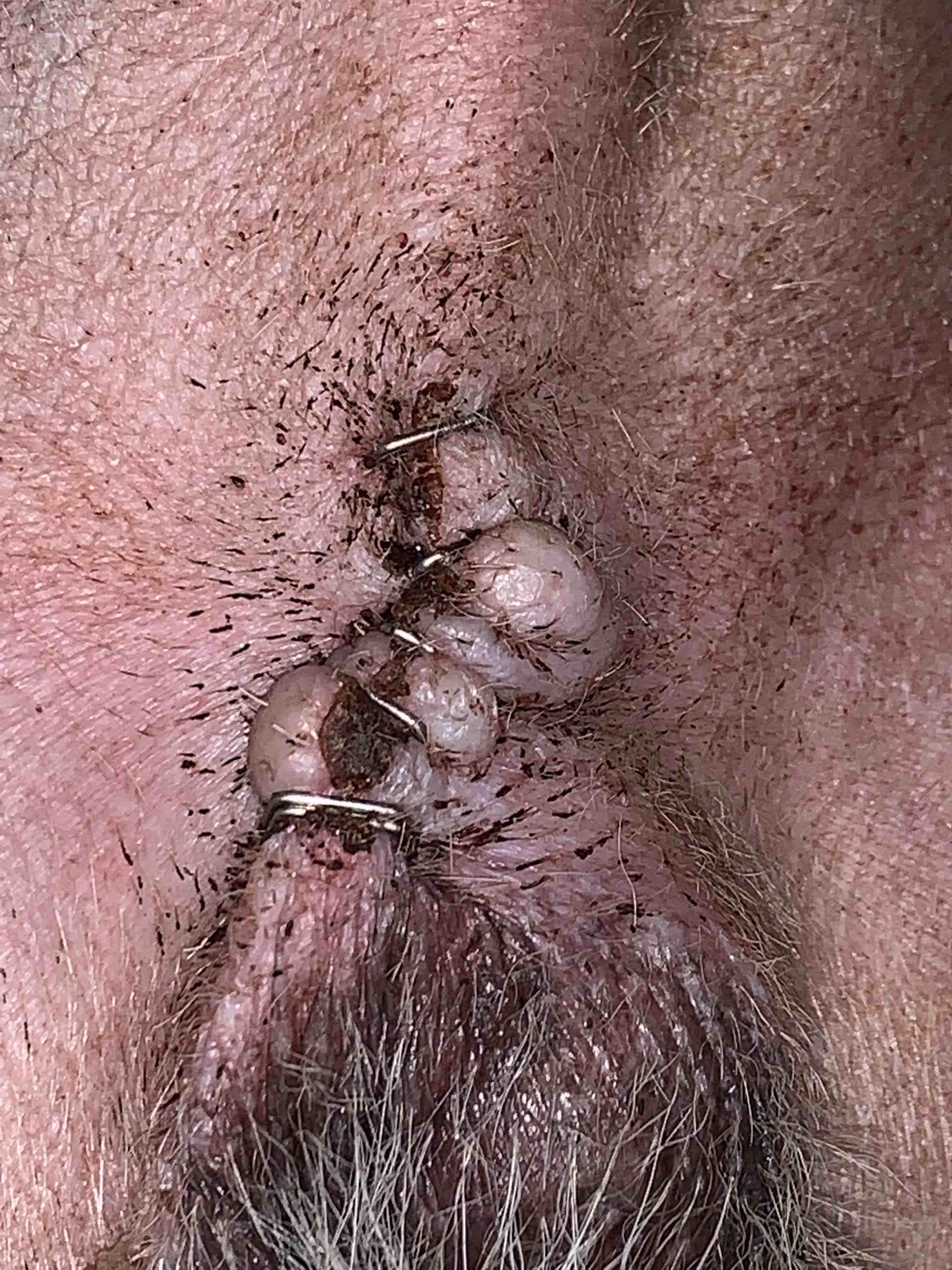 Question details sensitive content