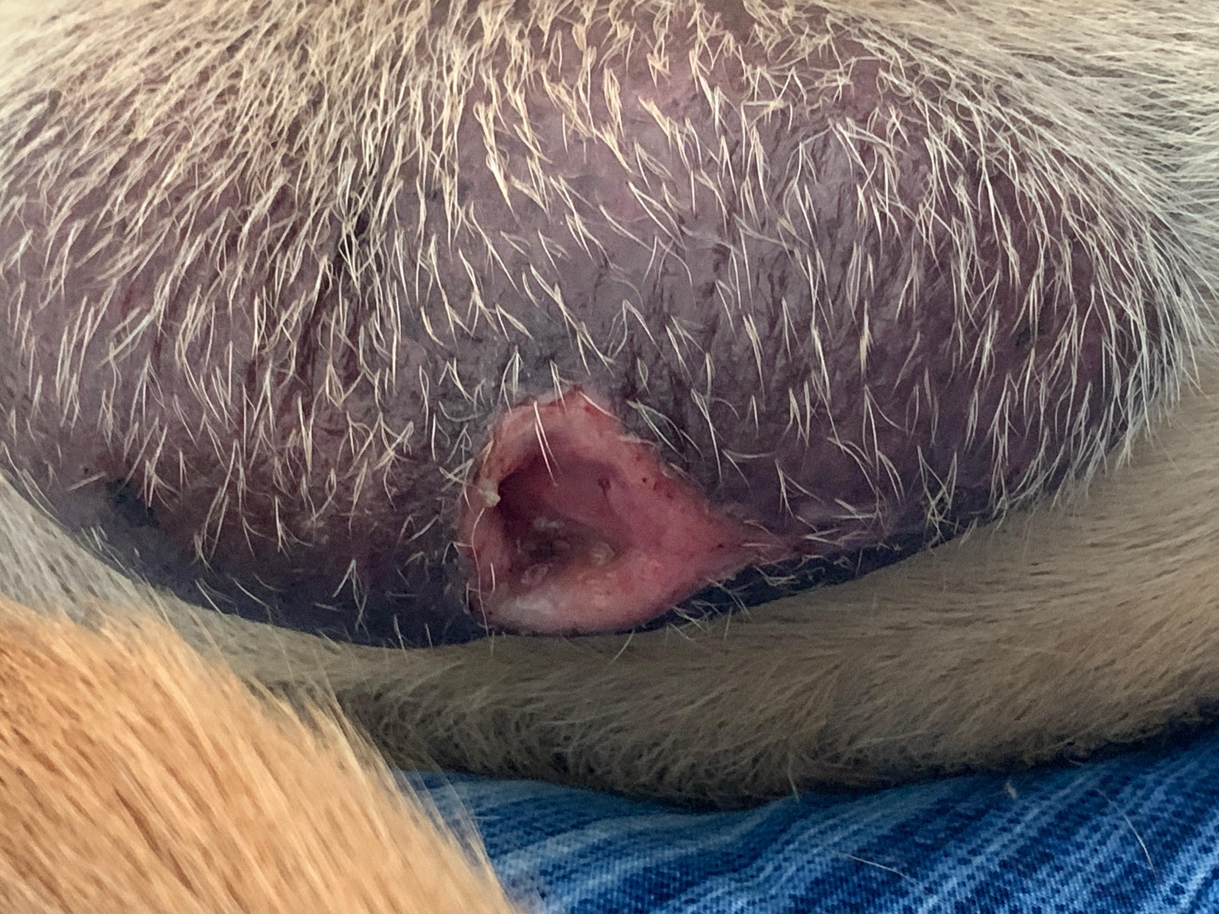 Question details sensitive content