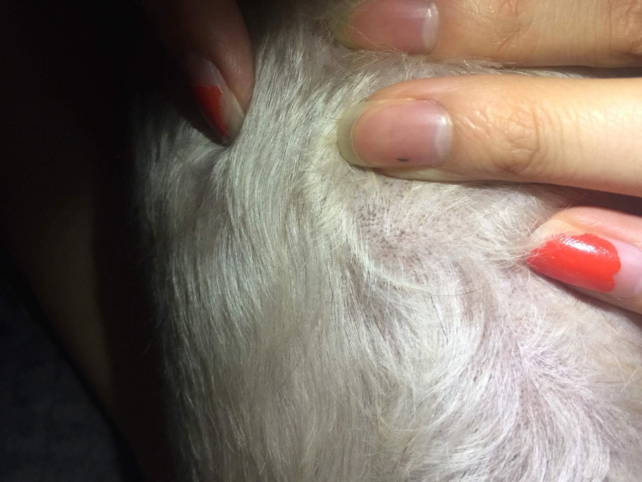 Question details sensitive content